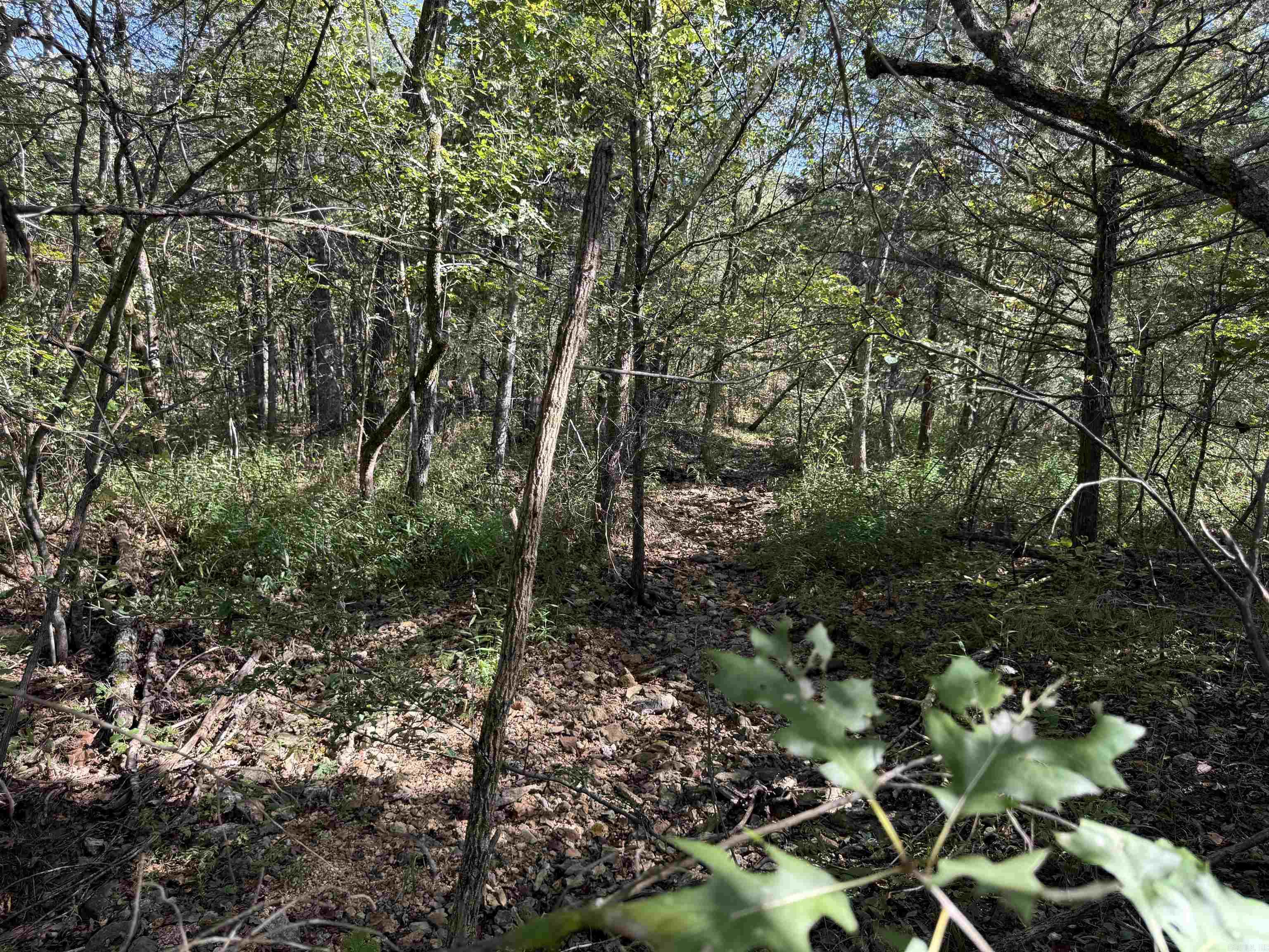 Country View Homesites - Land