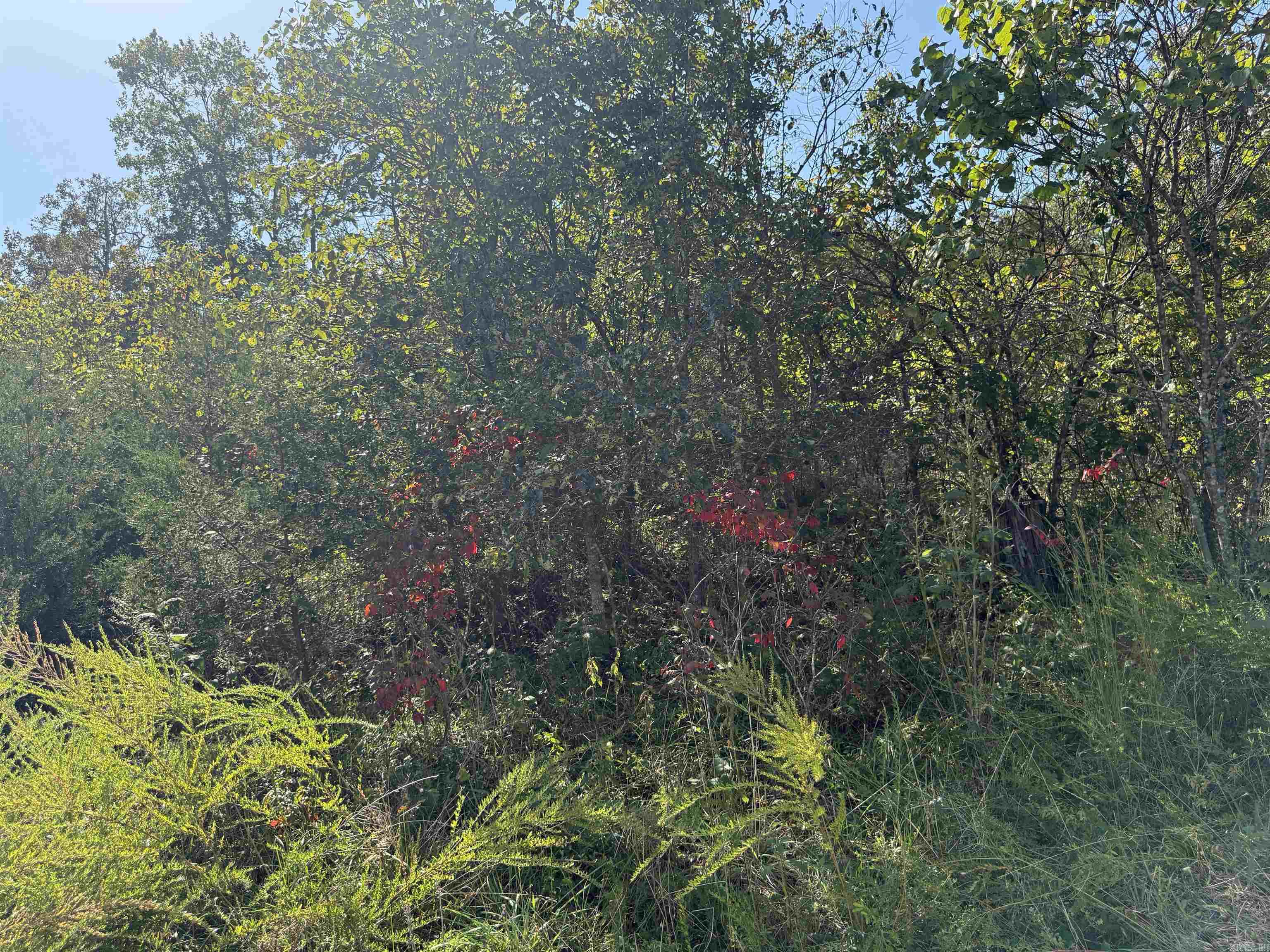 Country View Homesites - Land