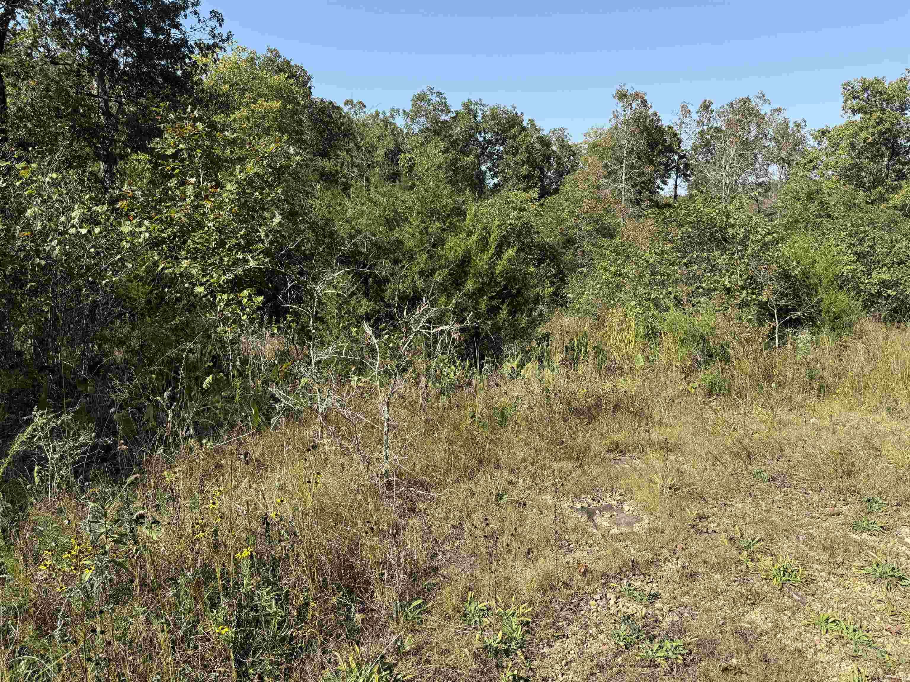 Country View Homesites - Land