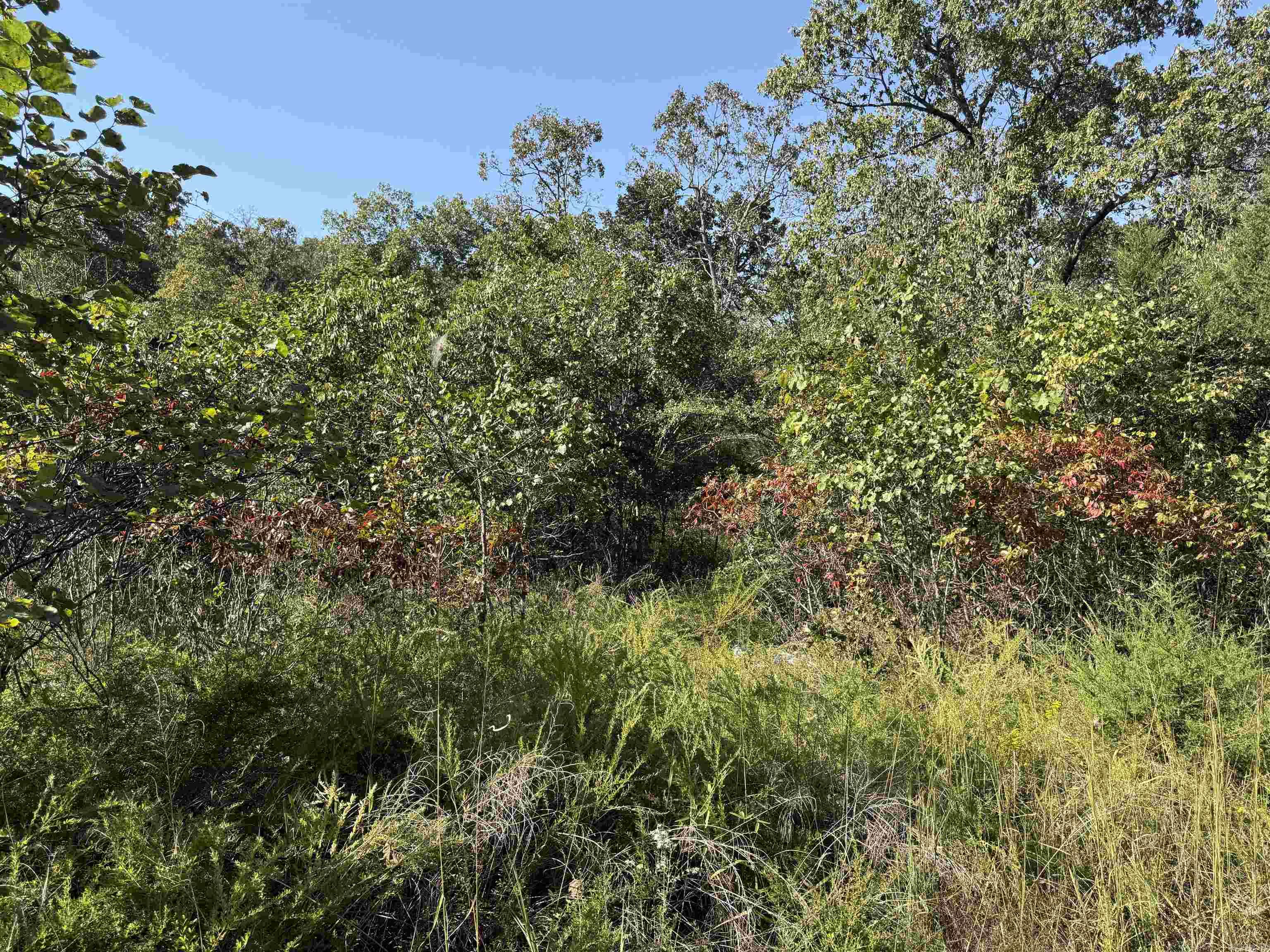 Country View Homesites - Land