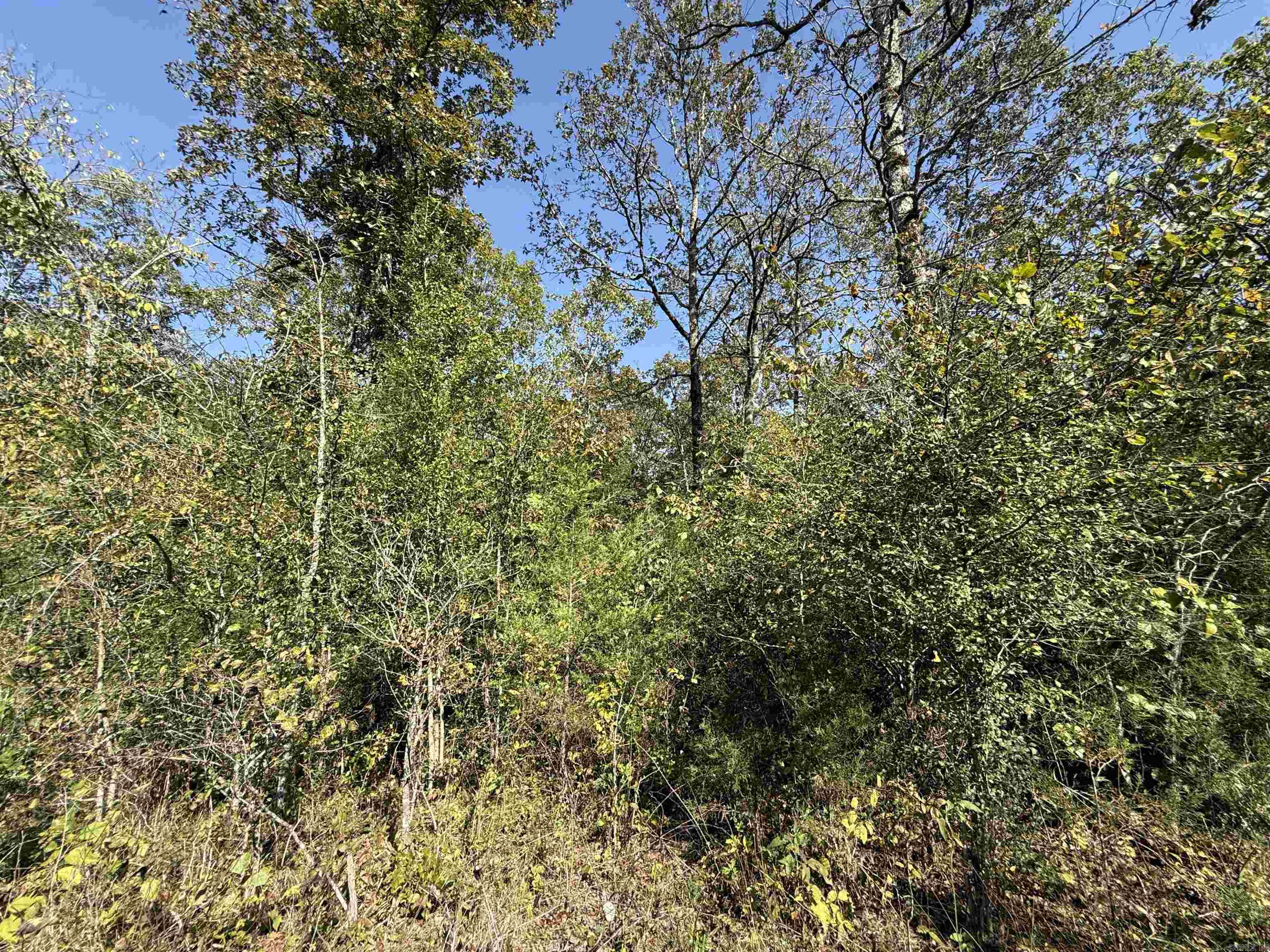 Country View Homesites - Land