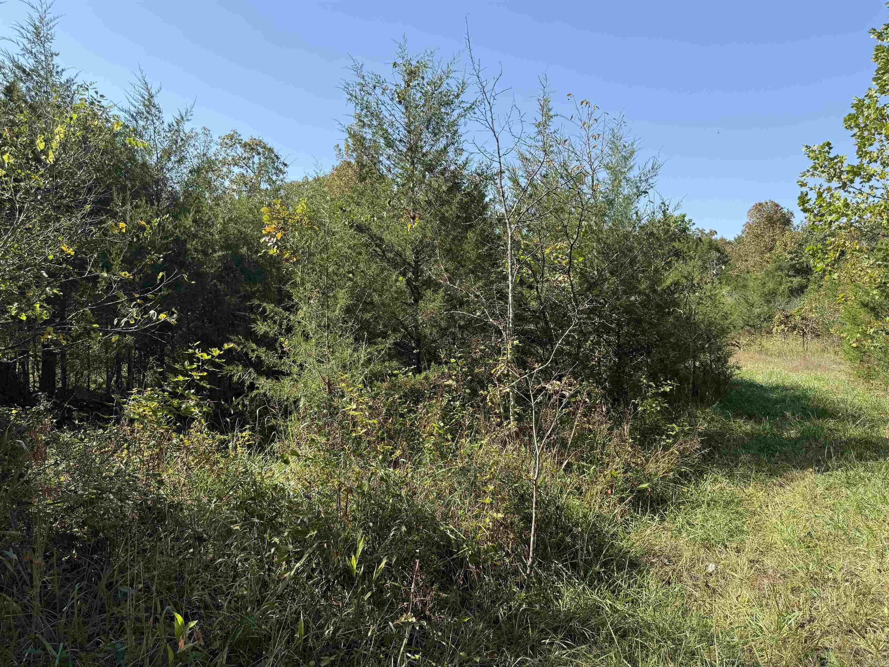 Country View Homesites - Land