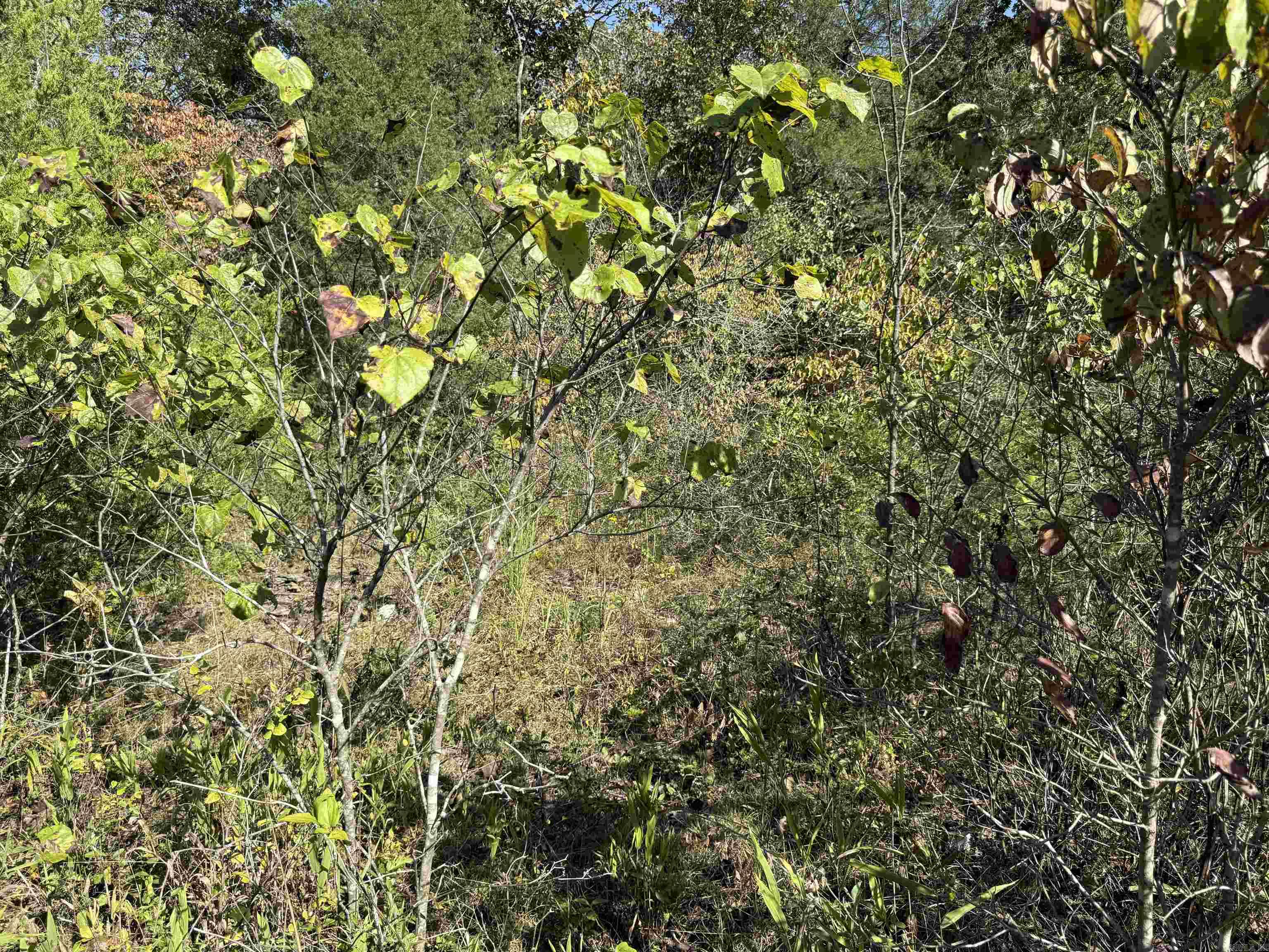 Country View Homesites - Land