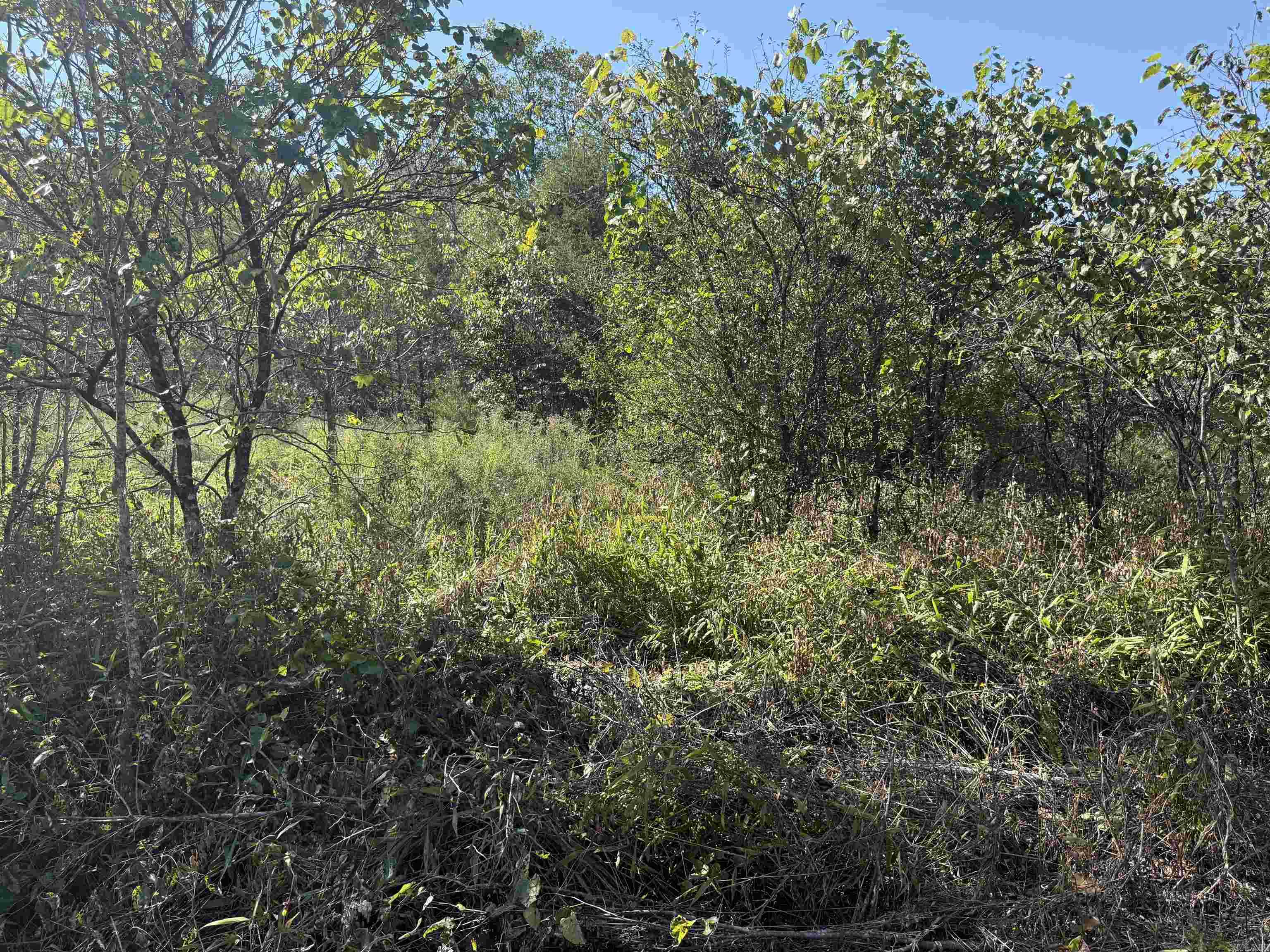 Country View Homesites - Land