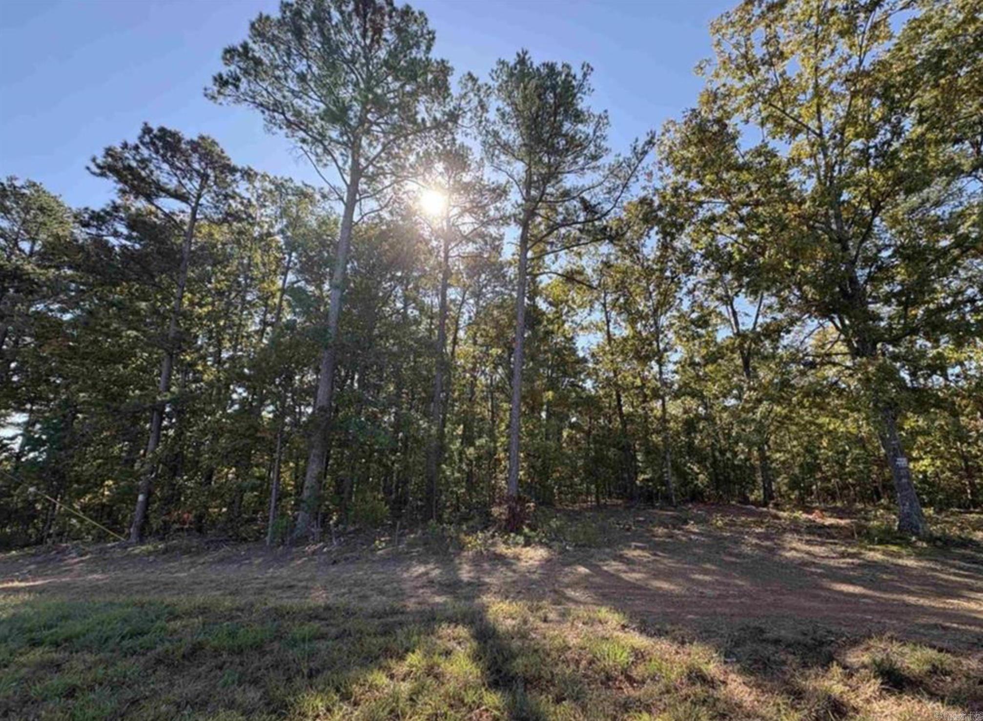This 1 acre lot is calling your name. This property is located close to all lake amenities, but still far enough to have peace and quite for anything you may need!