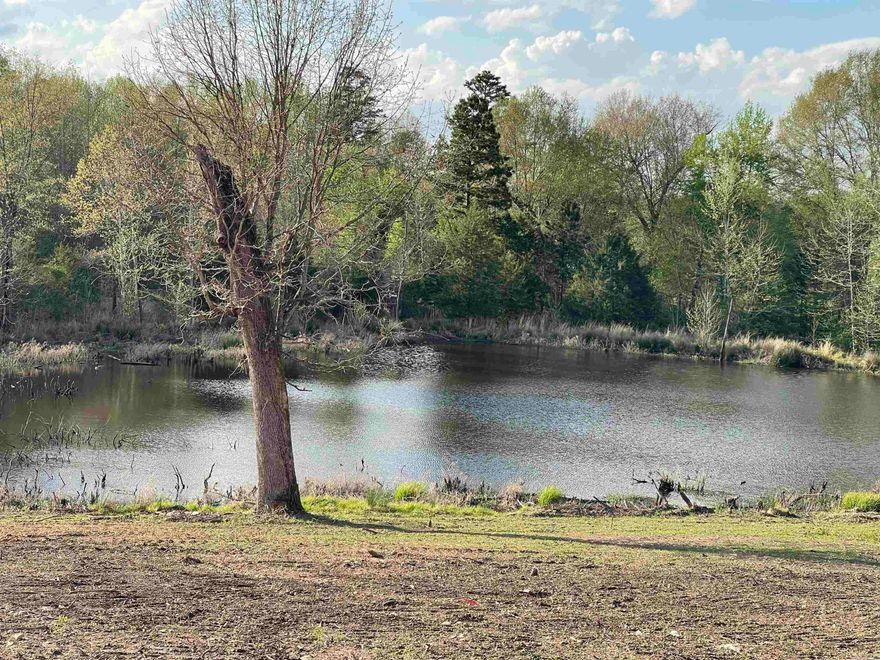 Everything Is New — Truly Move-In Ready! Skip the stress, time, and cost of renovations—this home has already done it all. Completely renovated from top to bottom with brand-new walls, insulation, flooring, cabinets with butcher block counter tops, bathrooms, appliances, plus fully updated plumbing and electrical. Just unpack and enjoy. Perched on a hill with views of St. Mary’s Mountain and a gorgeous pond, this property delivers privacy, peace, and postcard-worthy scenery every day. Surrounded by approximately 20 mostly cleared acres, there’s room to expand, garden, build, hunt, or simply enjoy wide-open space—rarely available and highly desirable. Conveniently located just a few hundred feet off paved roads—you get the best of both worlds: privacy without isolation. City water is already available, and free gas is an added bonus for buyers who wish to run it to the property and thar are looking to lower long-term utility costs. This is a rare turnkey opportunity with land, views, and modern upgrades. Photos coming just as soon as the renovations are complete.  Existing records show the property’s old value and do not include the value added by recent improvements.