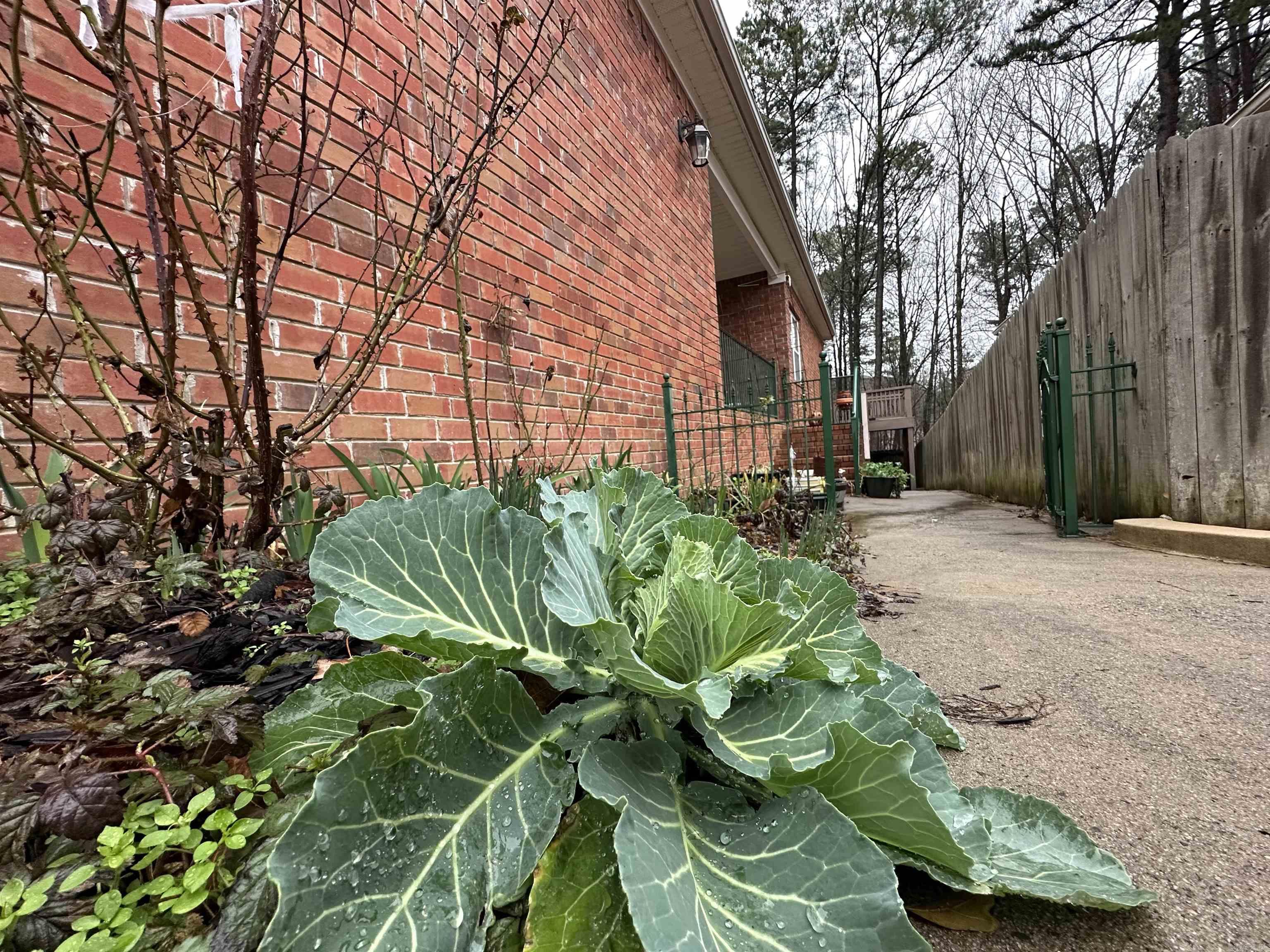 NORTHSHORE GARDENS - Residential