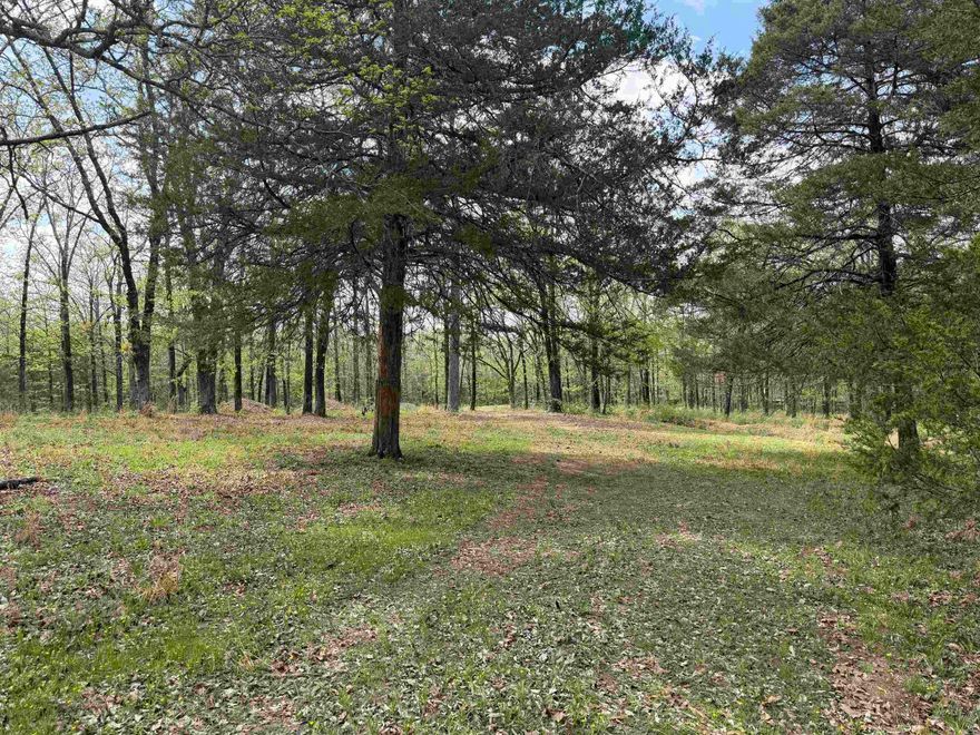 Tucked just minutes from Greenbrier, this stunning 4.81-acre property offers the perfect blend of peaceful country living and everyday convenience. Partially cleared with a beautiful mix of mature trees and open space, this level lot is ready for your vision—whether that’s a custom home, barndominium, or private retreat. The natural setting creates a serene, park-like feel with plenty of room to roam, garden, or simply enjoy the quiet. Trenches have already been dug for water lines, giving you a head start on building. If you’ve been searching for land that feels special the moment you step onto it—this is it. Opportunities like this don’t come around often in Faulkner County. Come walk it, and you’ll fall in love. Agents see remarks