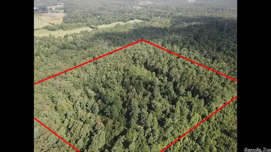 Wooded acreage on a high Ridge with a mix of Hardwood and Pine trees.  Great Ouachita Mountain Views! Easement Lane to the Property! Some Road building will be required to access the property. No Restrictions on this property!  No Utilities in place. See Agent Remarks!