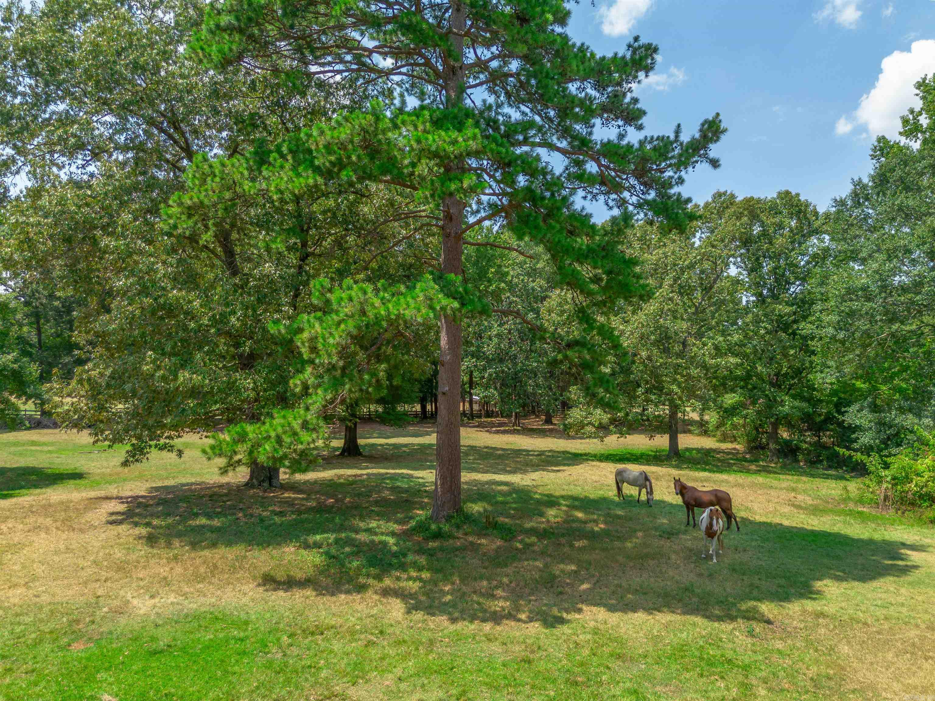 TREASURE HILL - Residential