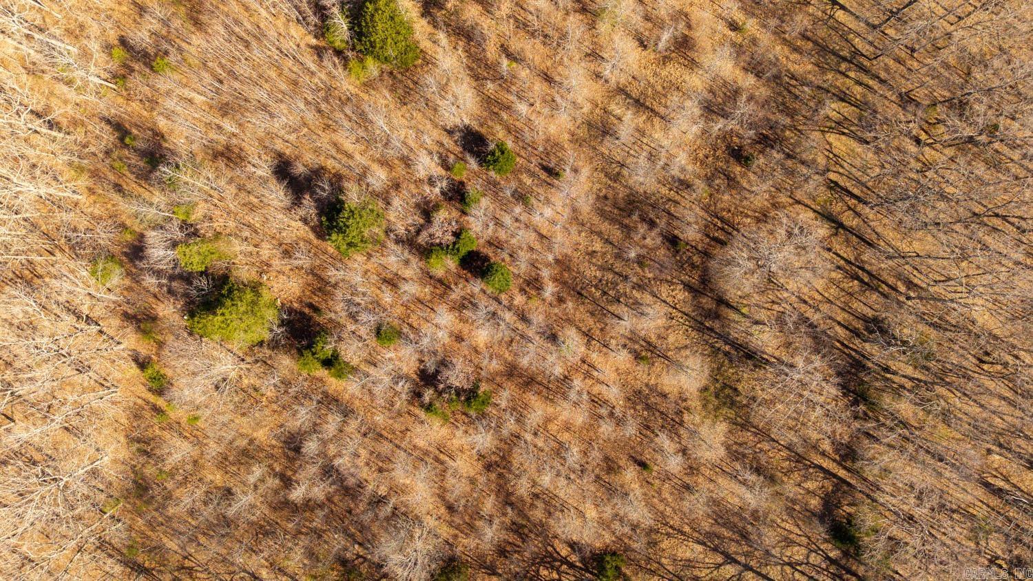 MOODY RIVERVIEW EST - Land