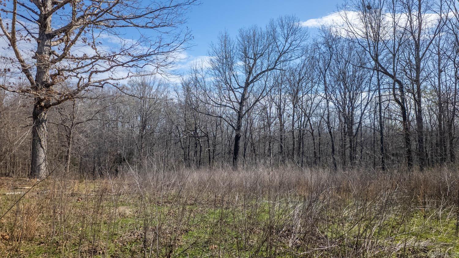 MOODY RIVERVIEW EST - Land