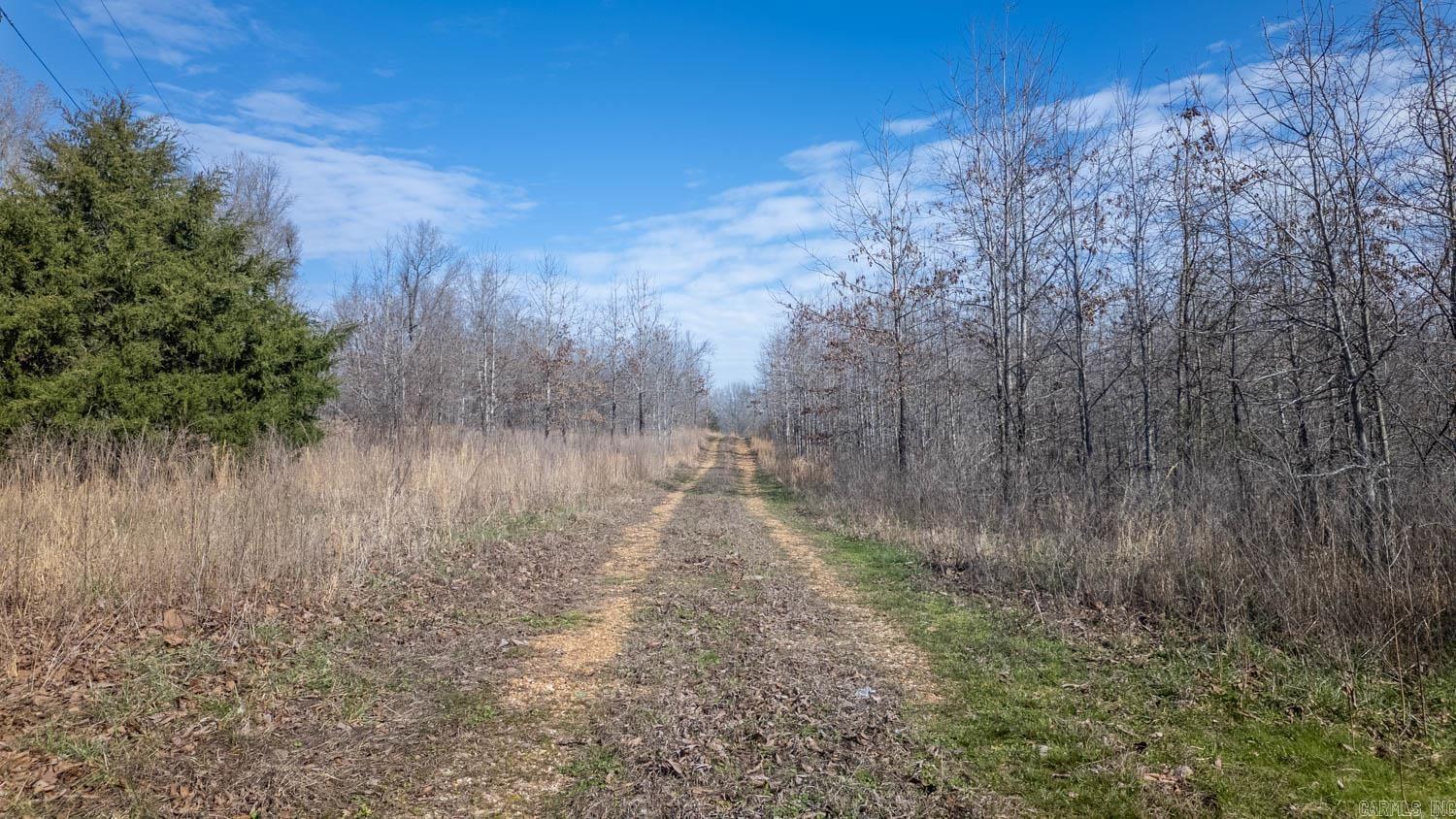 MOODY RIVERVIEW EST - Land