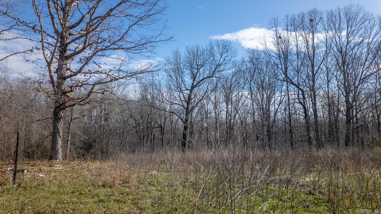 MOODY RIVERVIEW EST - Land