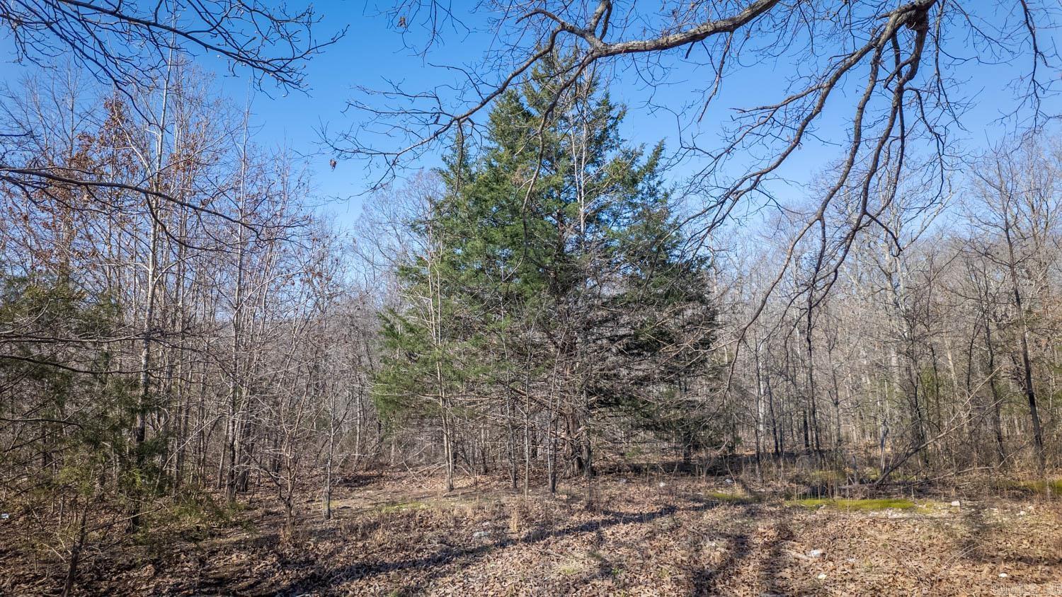 MOODY RIVERVIEW EST - Land