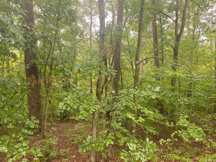Great lot to build your next home on! Within a few minutes of Lakes/Boat ramps but also semi-secluded in a cul-de-sac. This Lot is right next to a nice Brick Home, which helps the new buyer see a final project easily. Hot Springs Village has 9 beautiful golf courses, 11 recreational lakes, with over 30 miles of trails for walking and hiking, not to mention, you don't have to leave the community for any basic, everyday needs and desires.