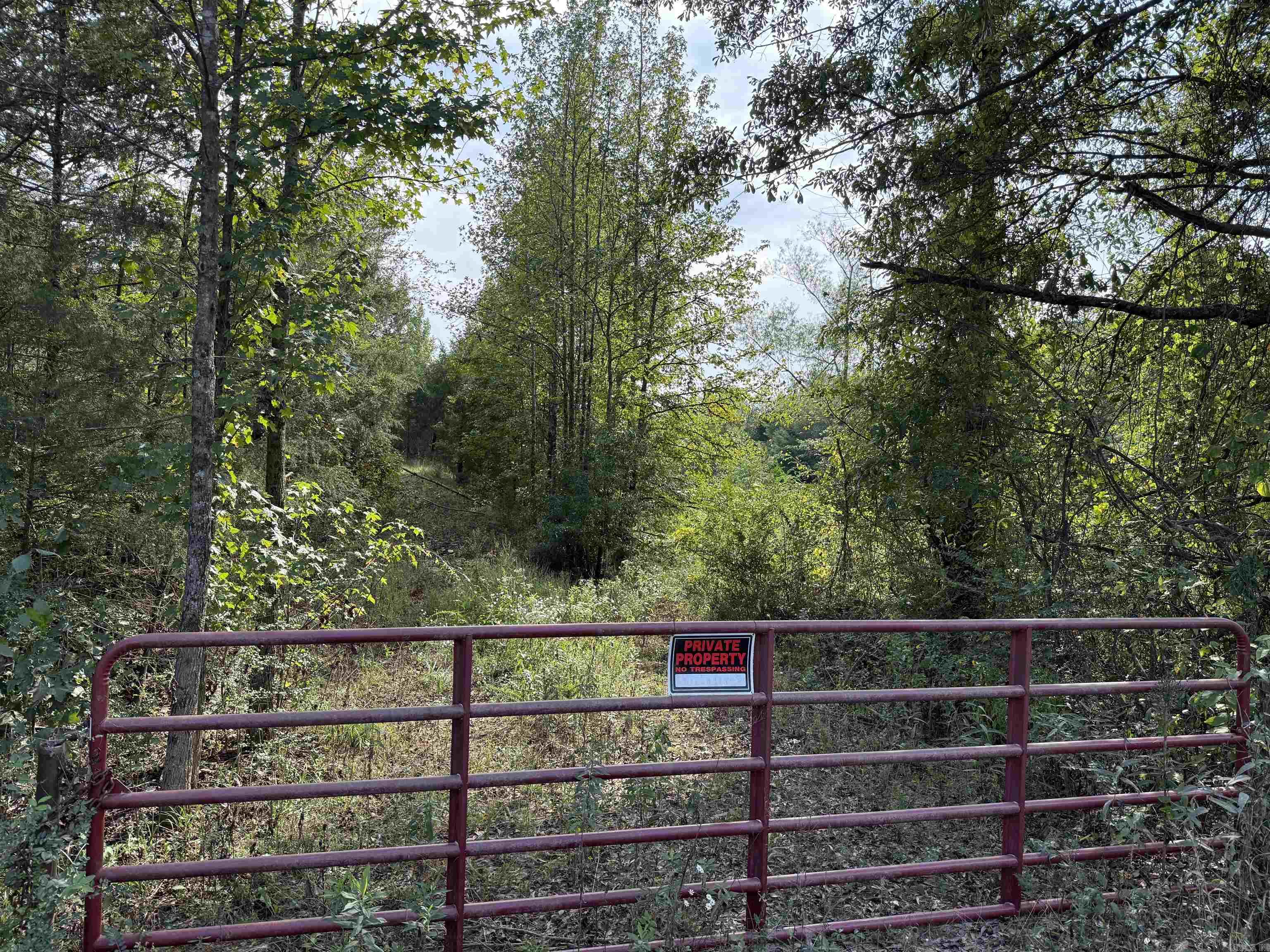 2 acre lake and 74.26 acres of pasture land with beautiful views, wildlife, and space to build your dream home!