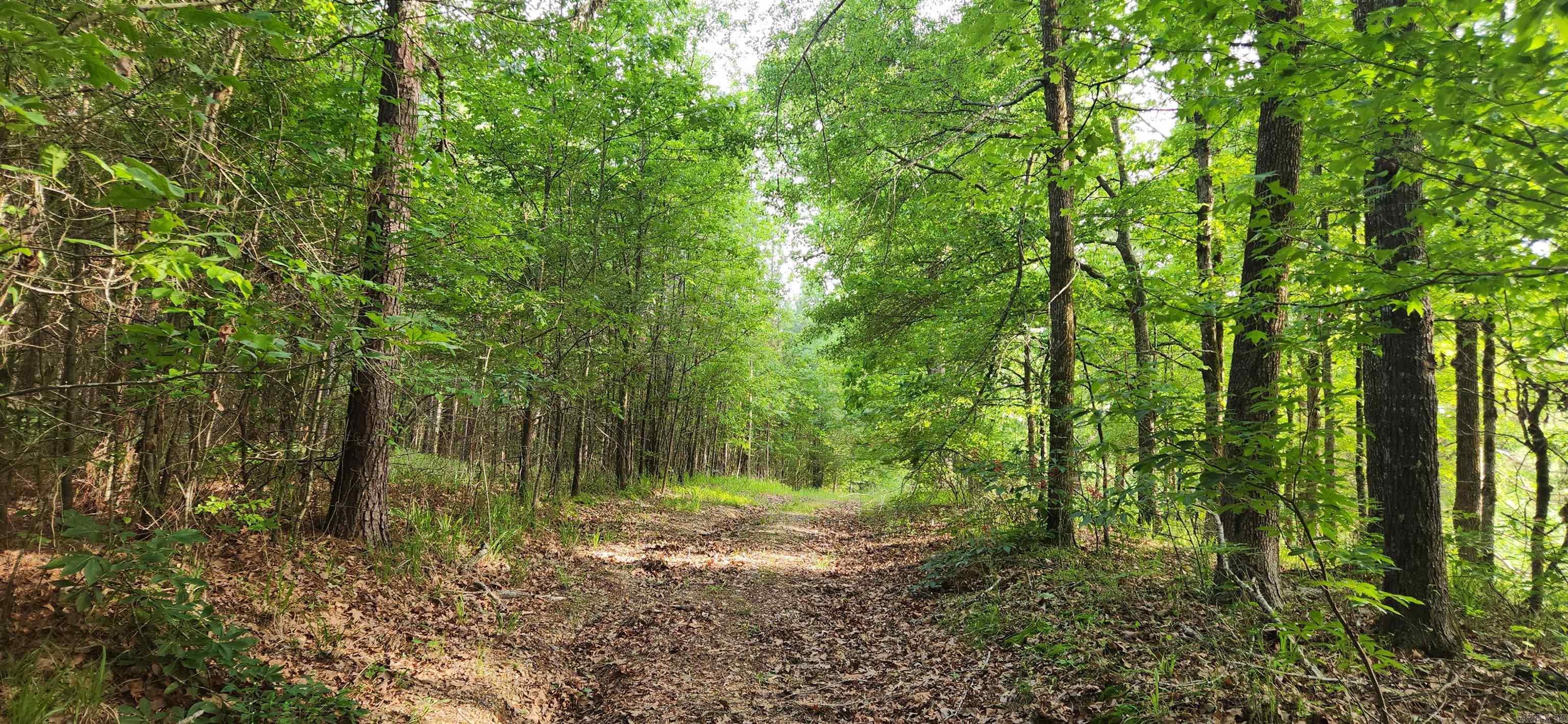 This acreage has endless possibilities!!! Located Close to town with access to city water, electricity and natural gas . Build your new home with lots of privacy!! Great hunting tract with deer, turkey and squirrel!! Keep for timberland Investment with 15 year old Pine Timber. Acreage is ideal for development.