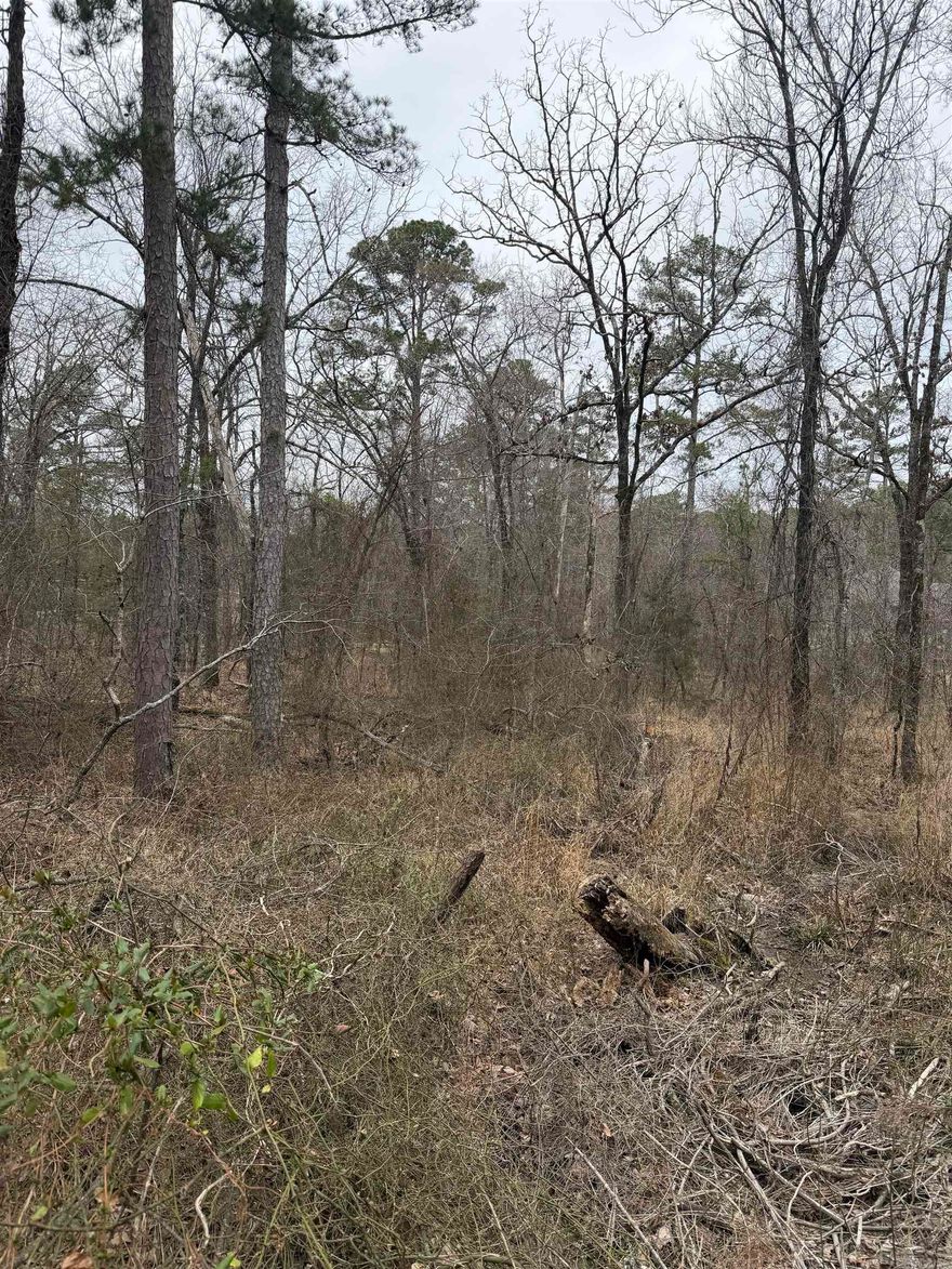 Lot 22 in HSV. Dreaming of golfing, pickleball and lakes? Wait no more!