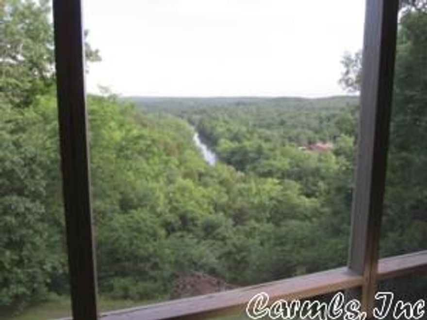 OMG - What A View!!! This home has one of those special views of the river and hills. There is a master bedroom, bath and walk-in closet, with another bedroom and a studio/3rd bedroom. Other features include another full guest bath, living room w/fireplace, a great kitchen and large screened/covered deck with the incredible view. This won't last long on the market at $88,500.00.