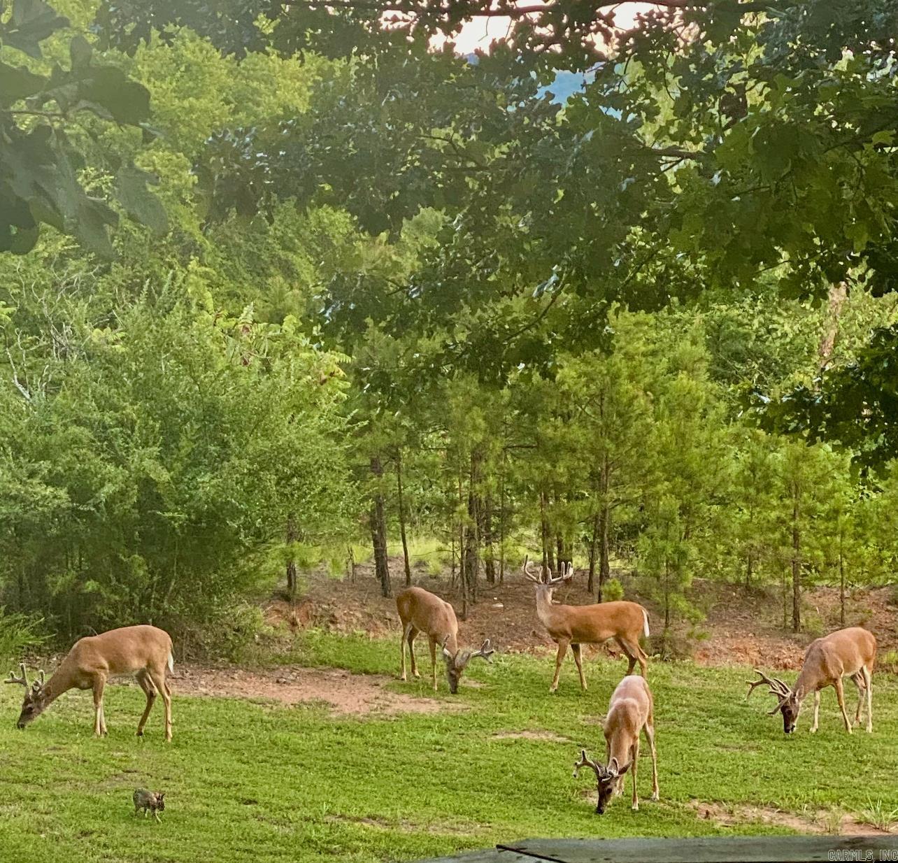 PINE HILL ESTATES - Residential