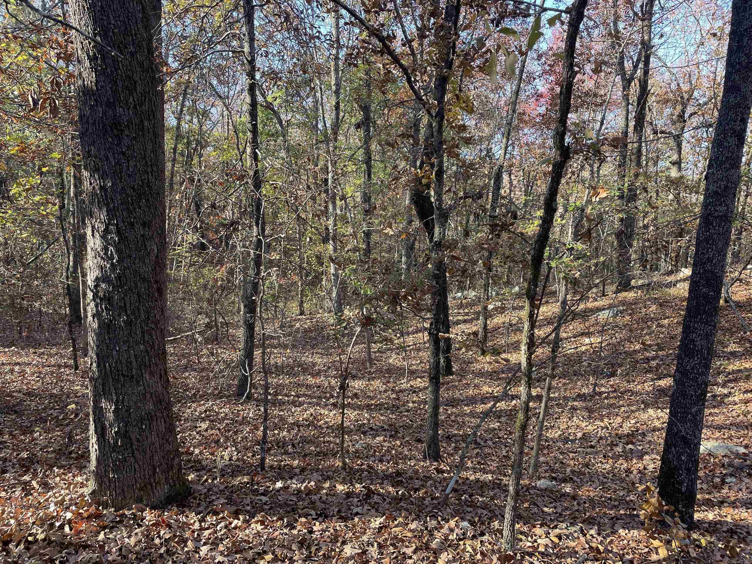 Not in Subdivision - Land