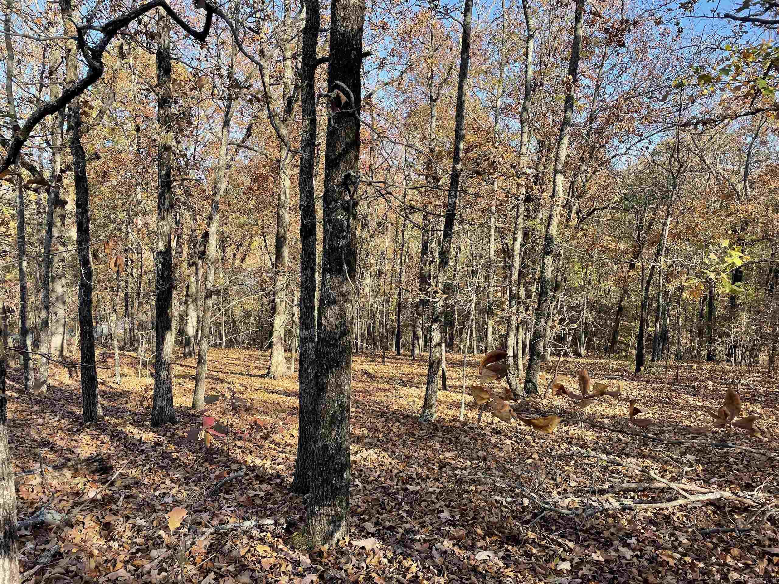 Not in Subdivision - Land