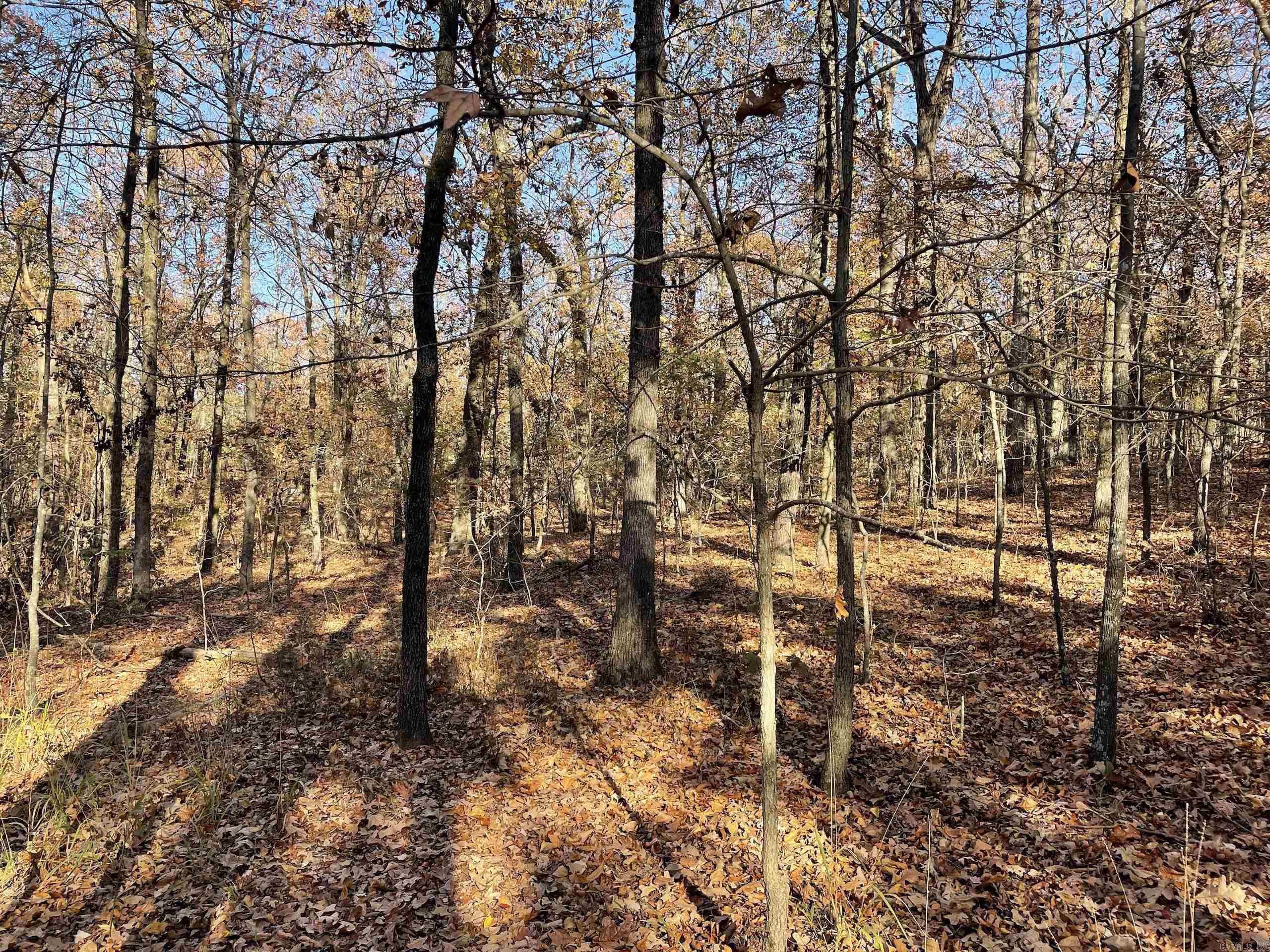 Not in Subdivision - Land