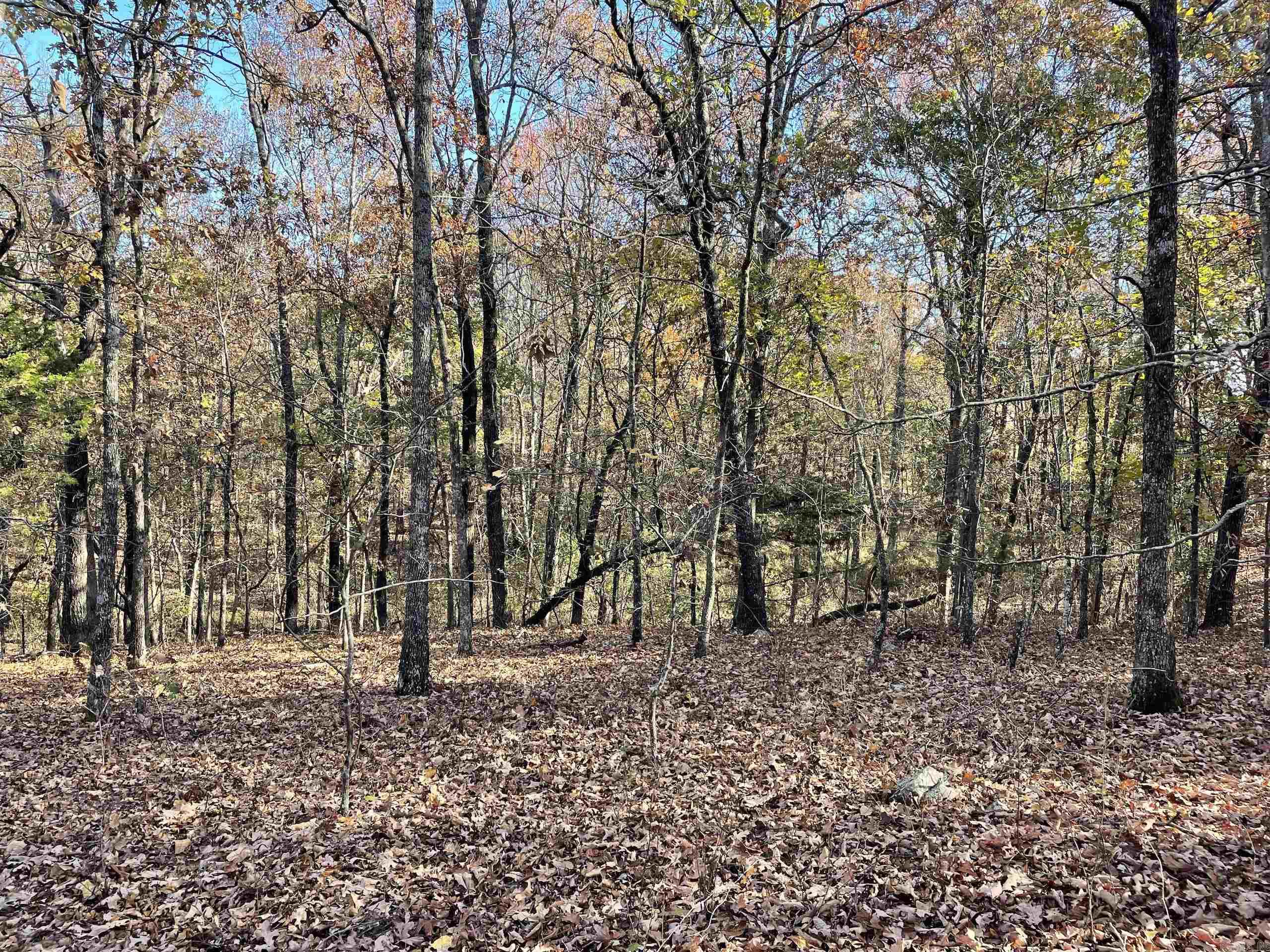 Not in Subdivision - Land