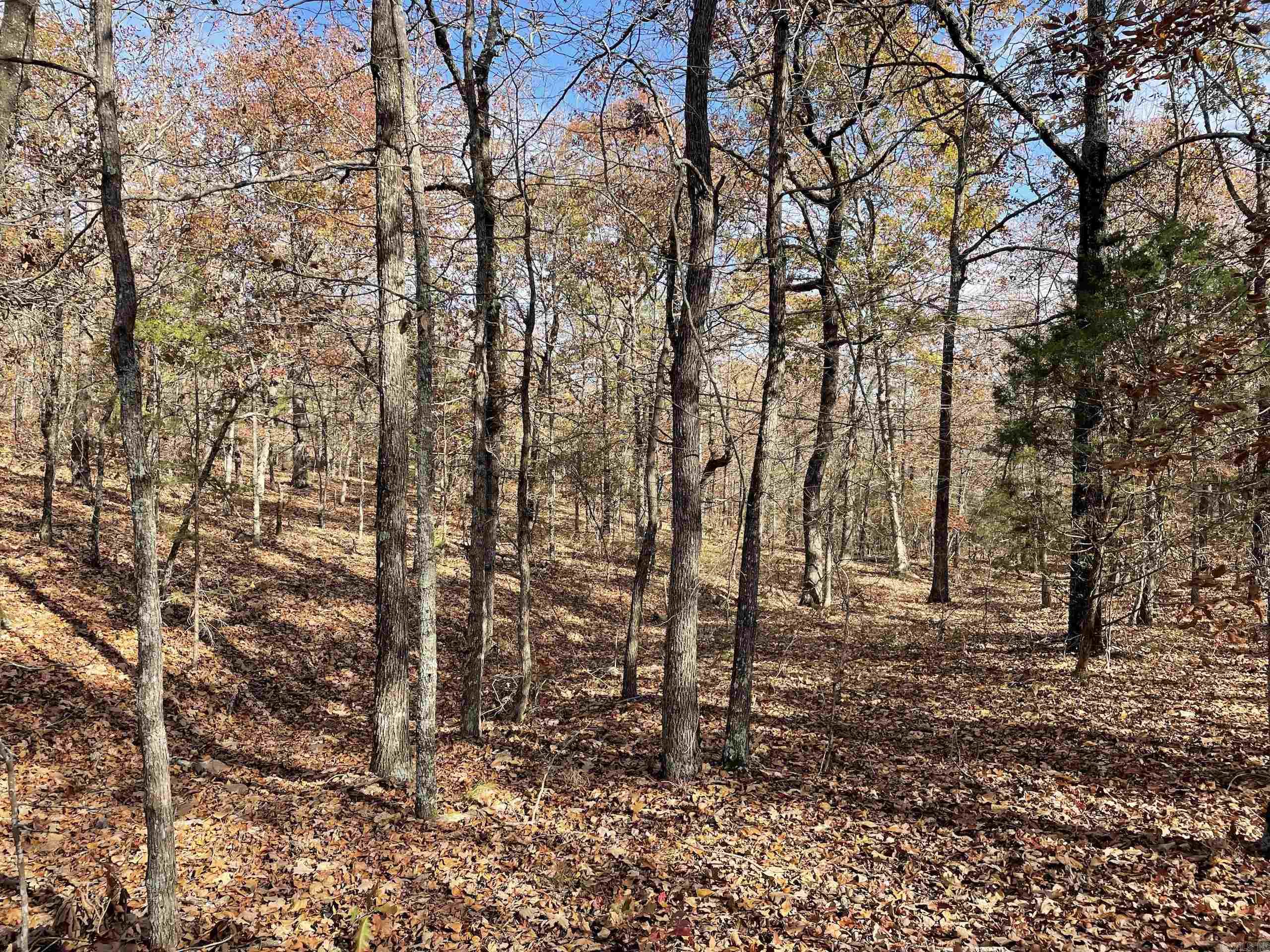 Not in Subdivision - Land