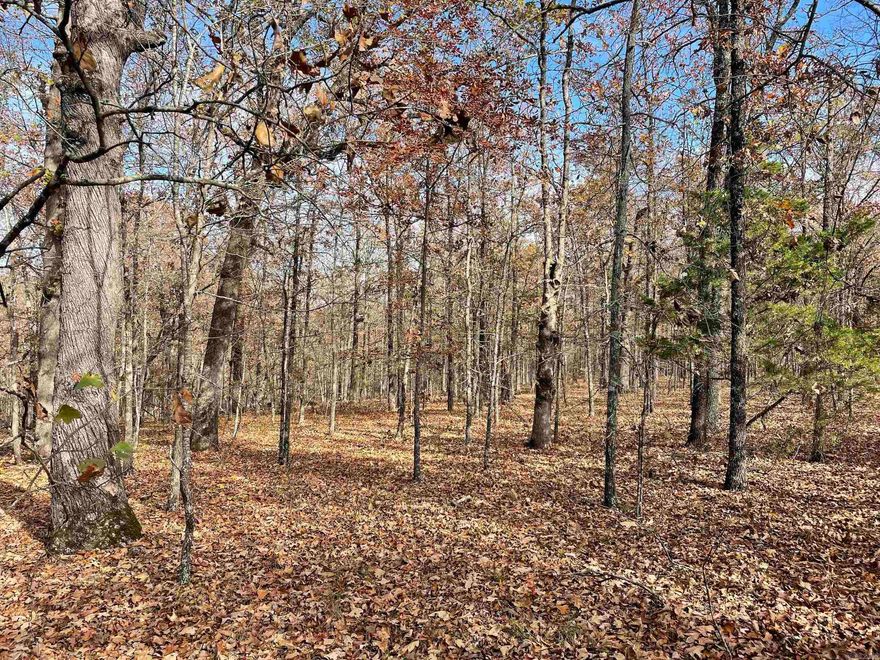 This great property has endless possibilities with nice rolling terrain full of timber and wildlife; it could be a great recreation and hunting property. County road frontage on two sides with rural water and electricity could allow subdivision for the investor.