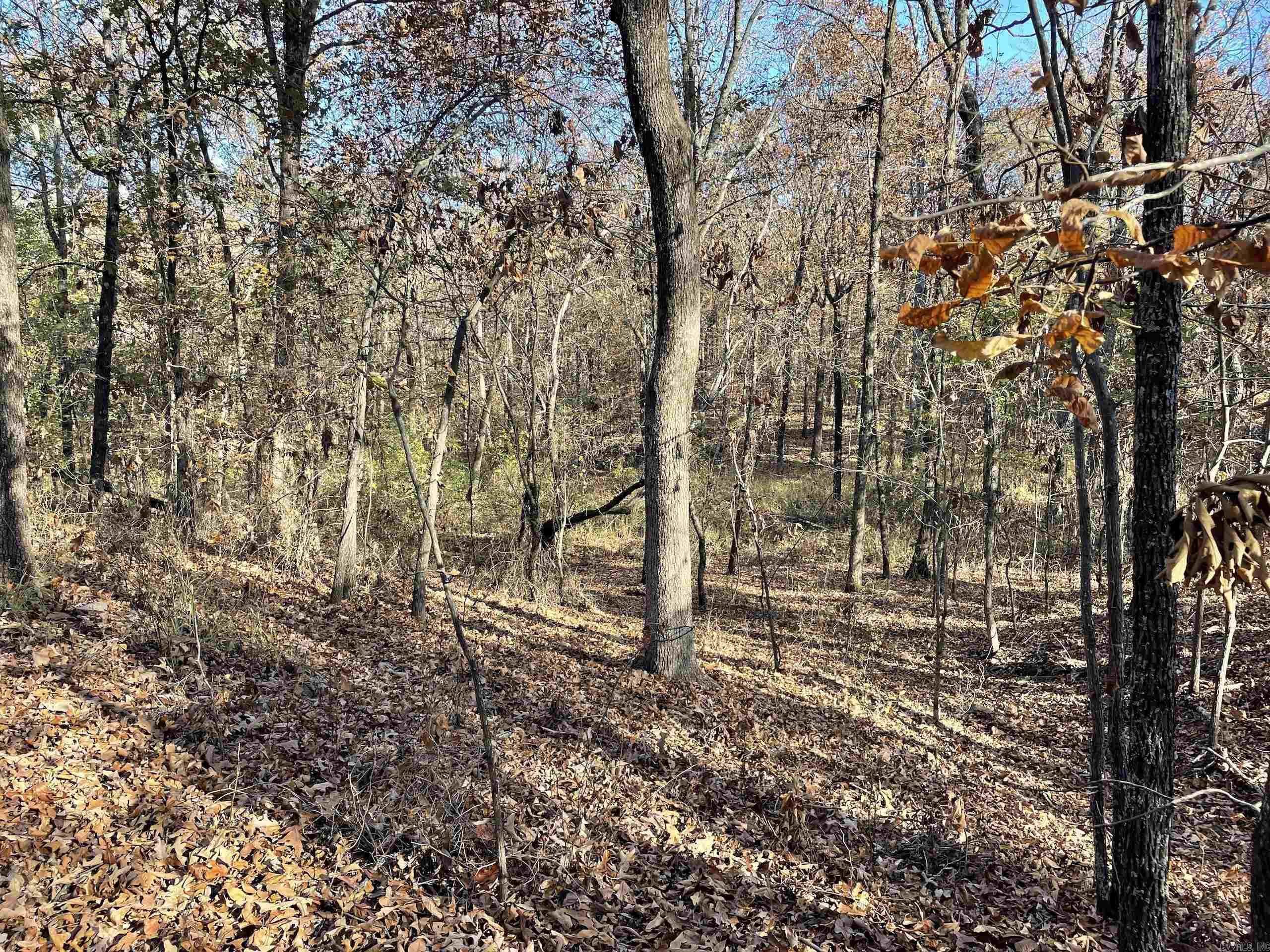 Not in Subdivision - Land