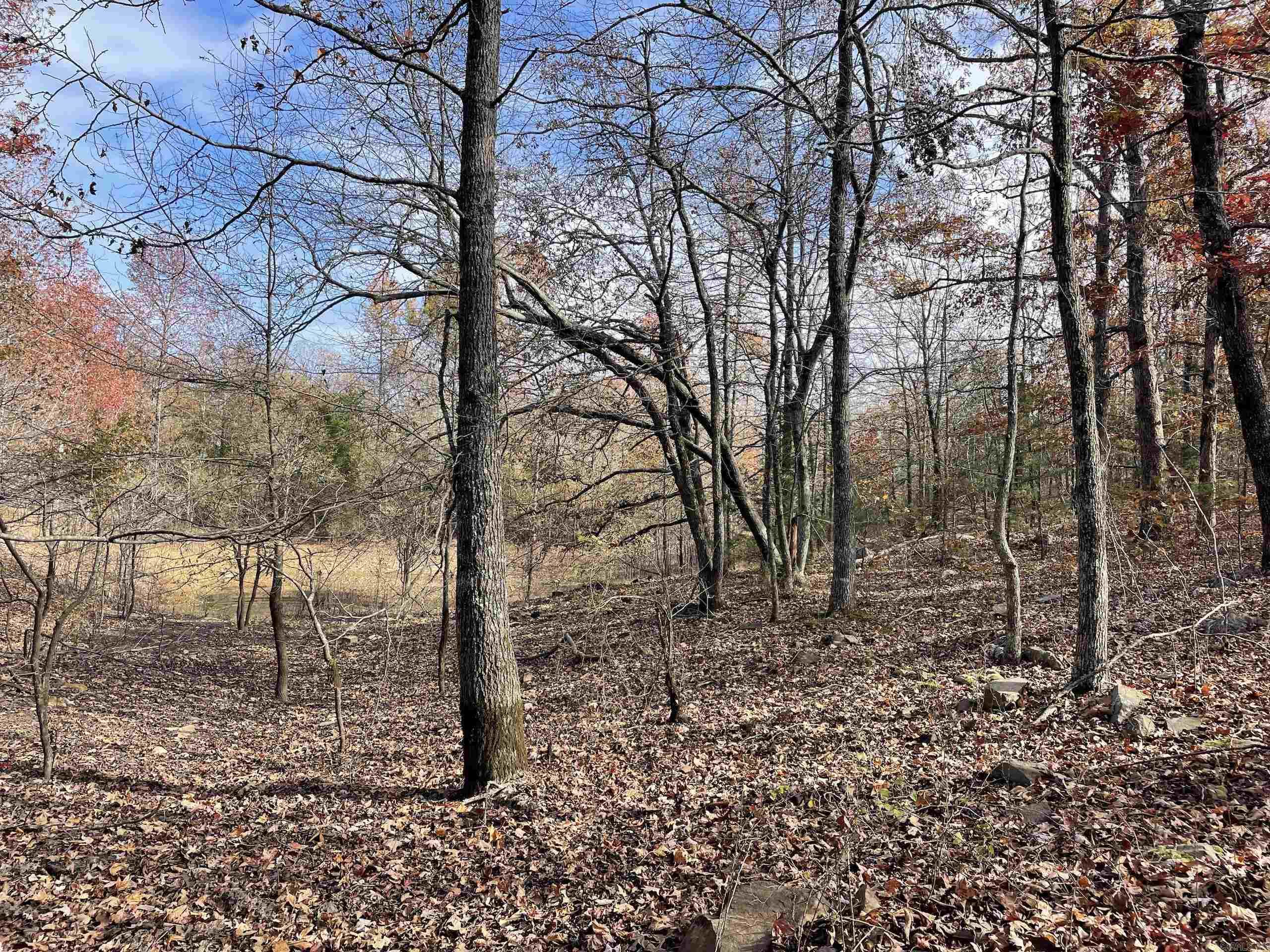 Not in Subdivision - Land