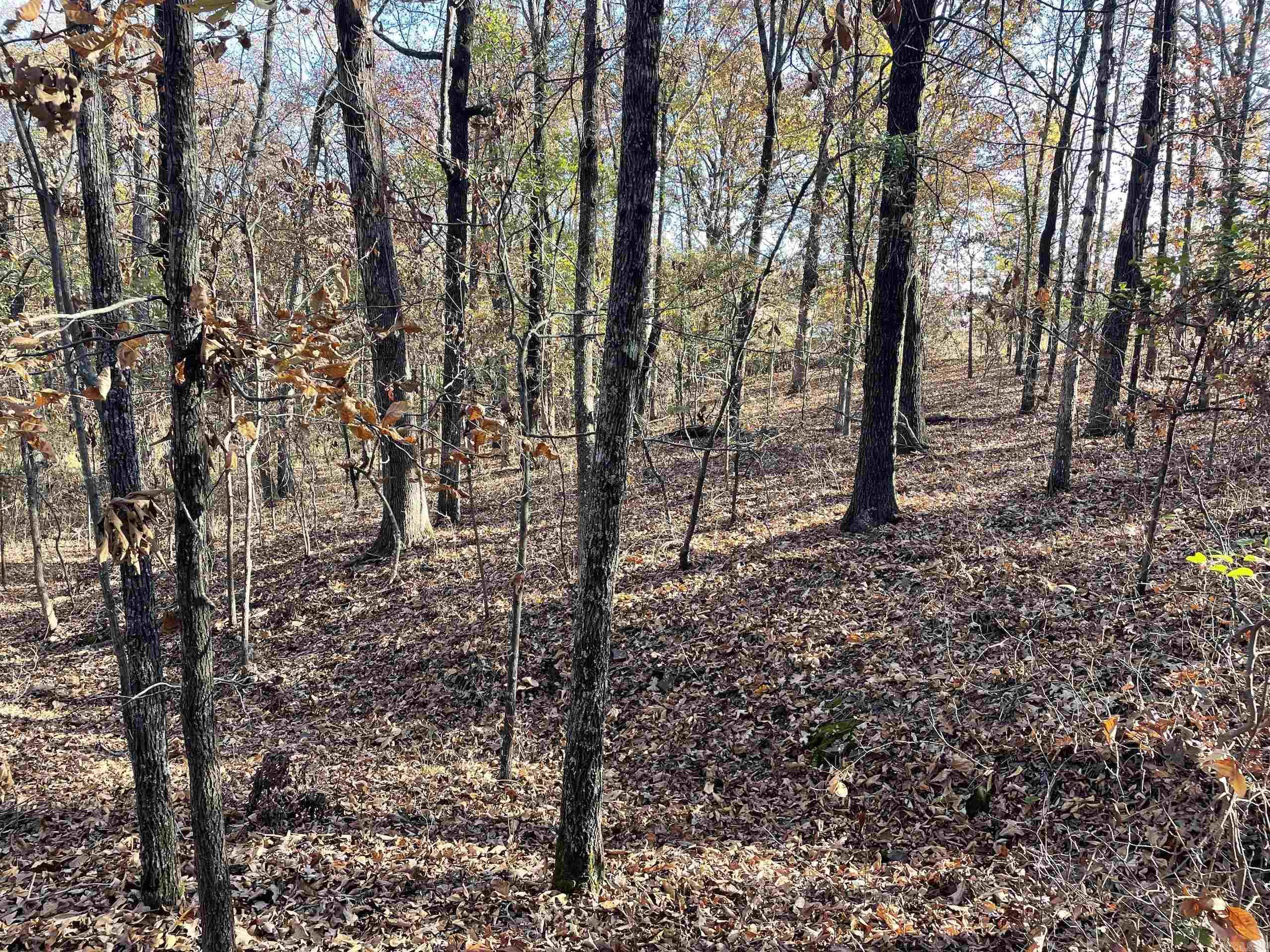 Not in Subdivision - Land