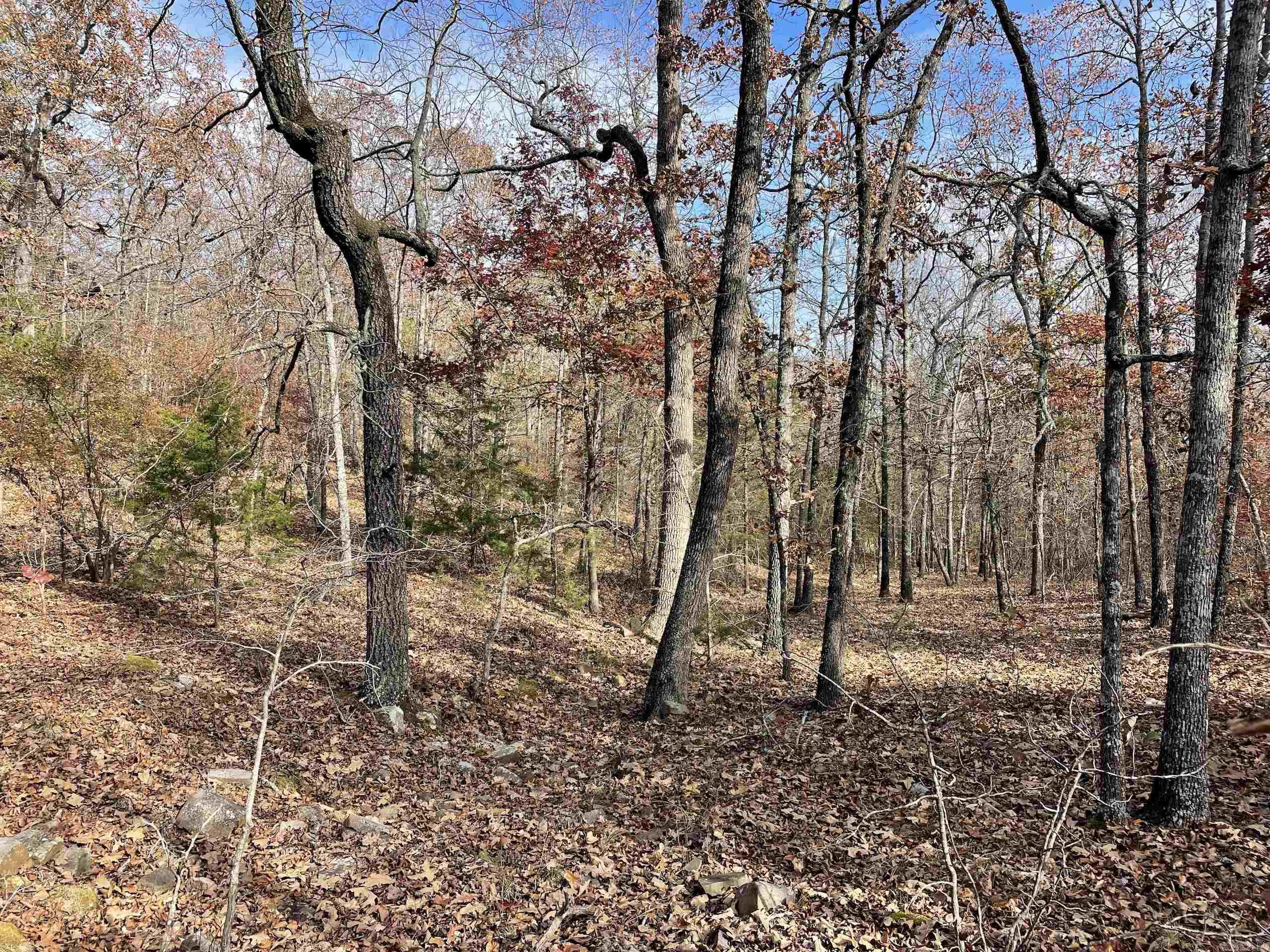 Not in Subdivision - Land