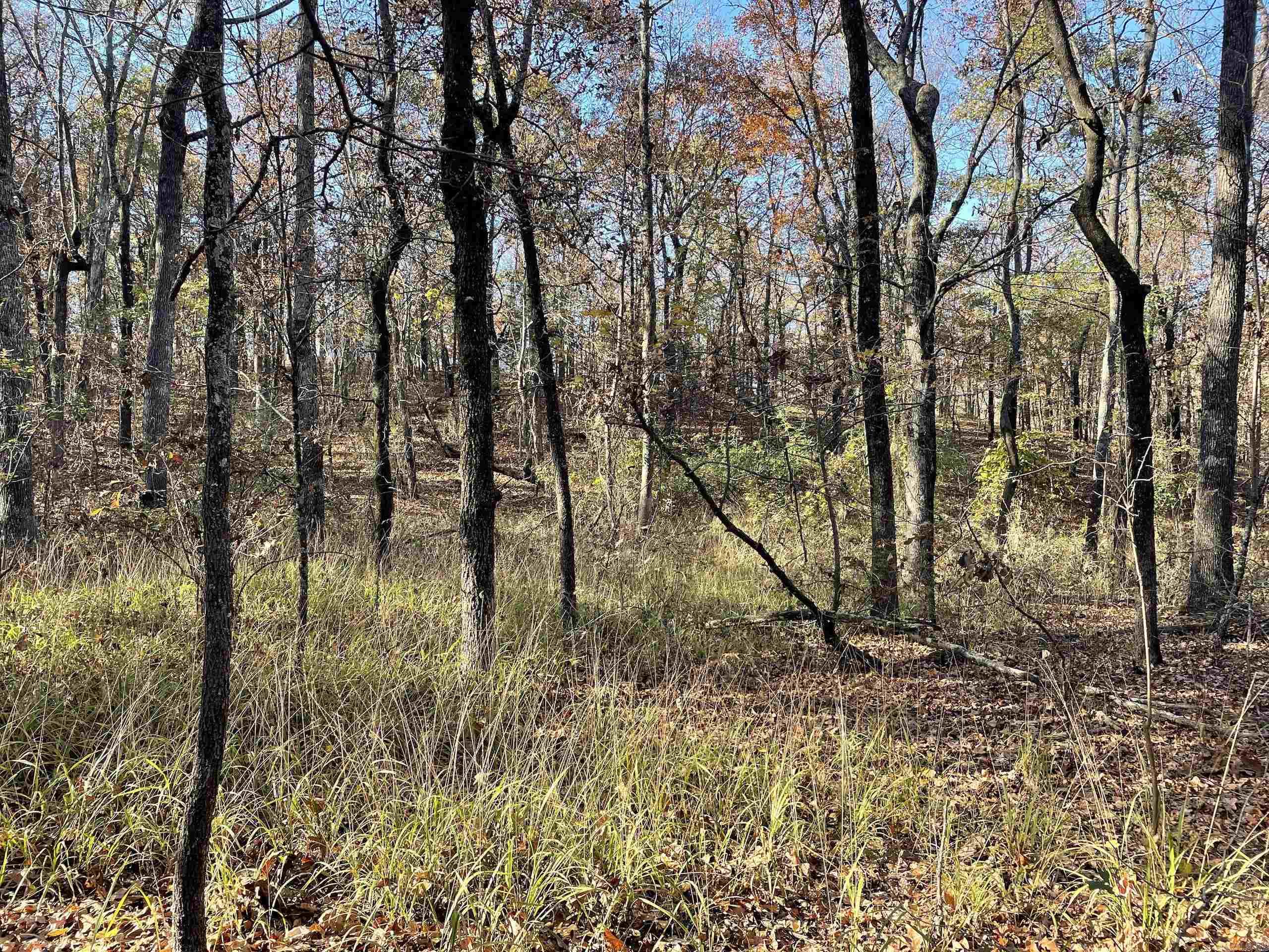 Not in Subdivision - Land