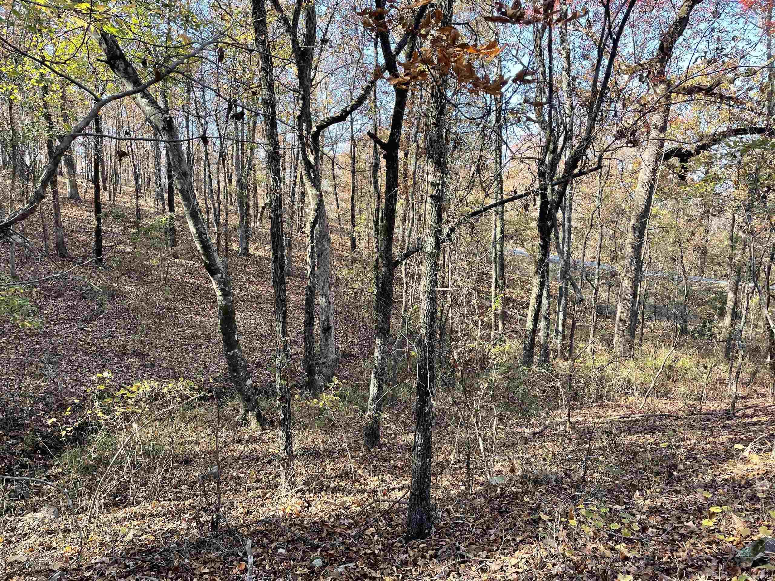 Not in Subdivision - Land