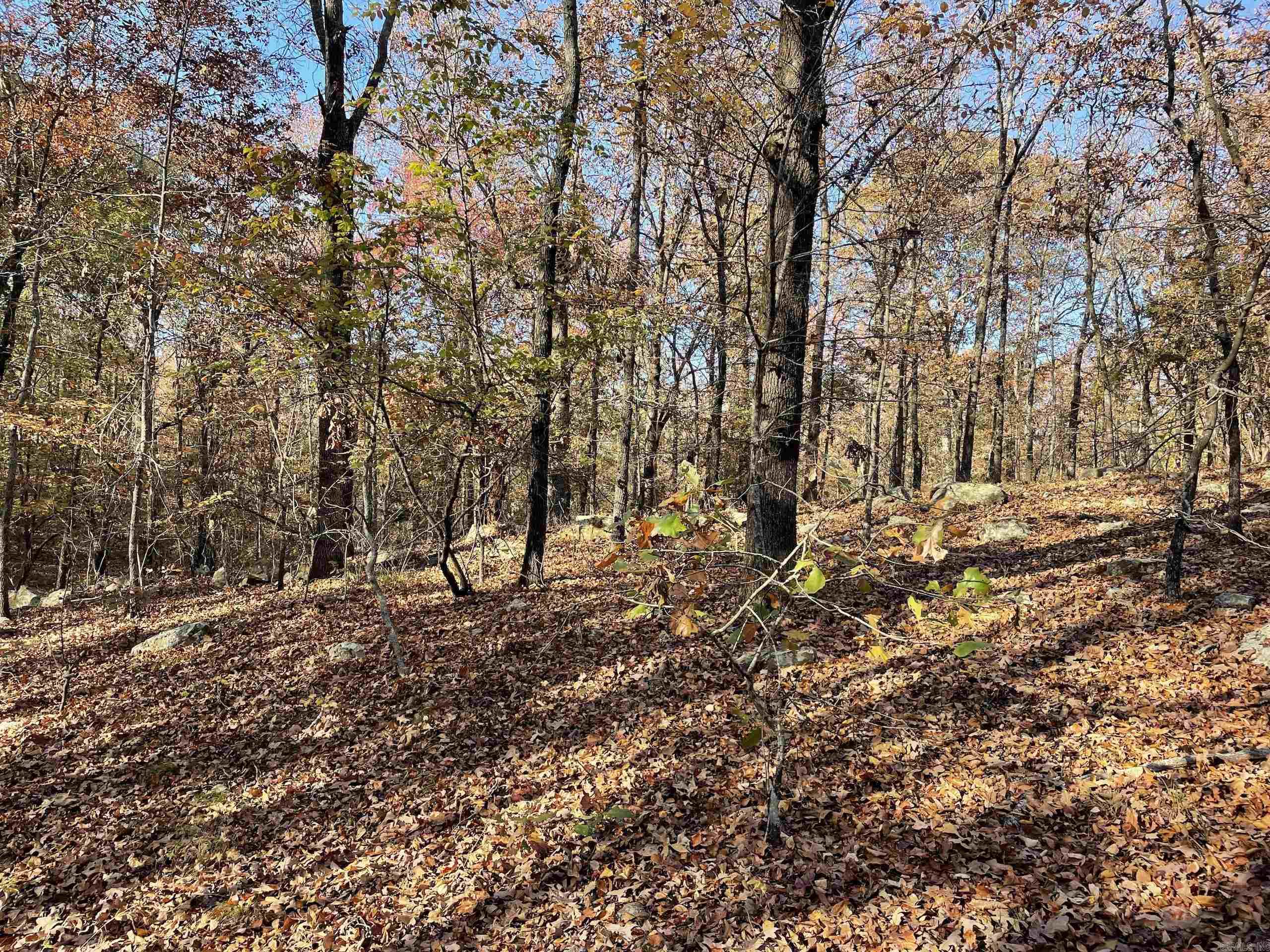 Not in Subdivision - Land