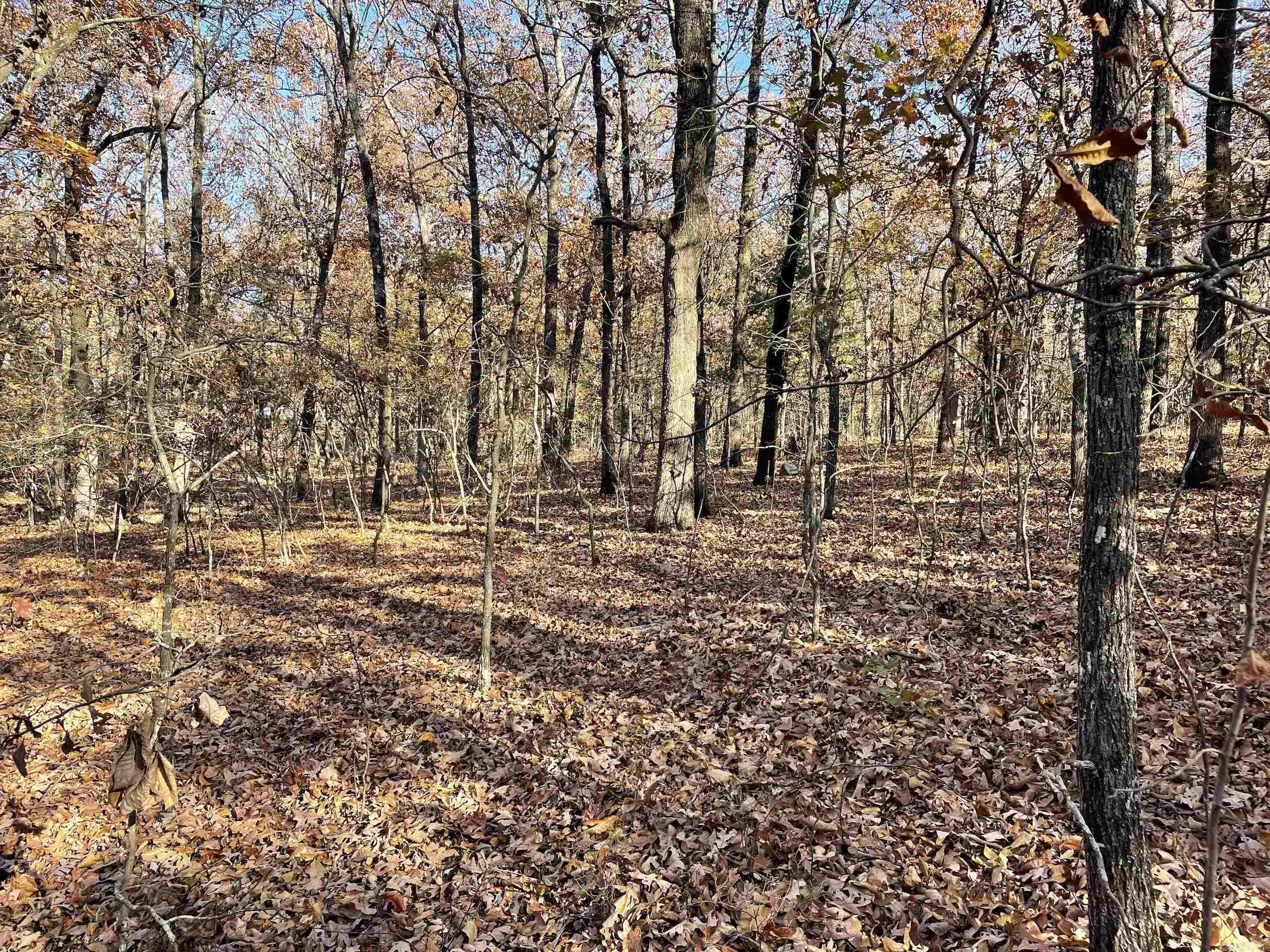 Not in Subdivision - Land