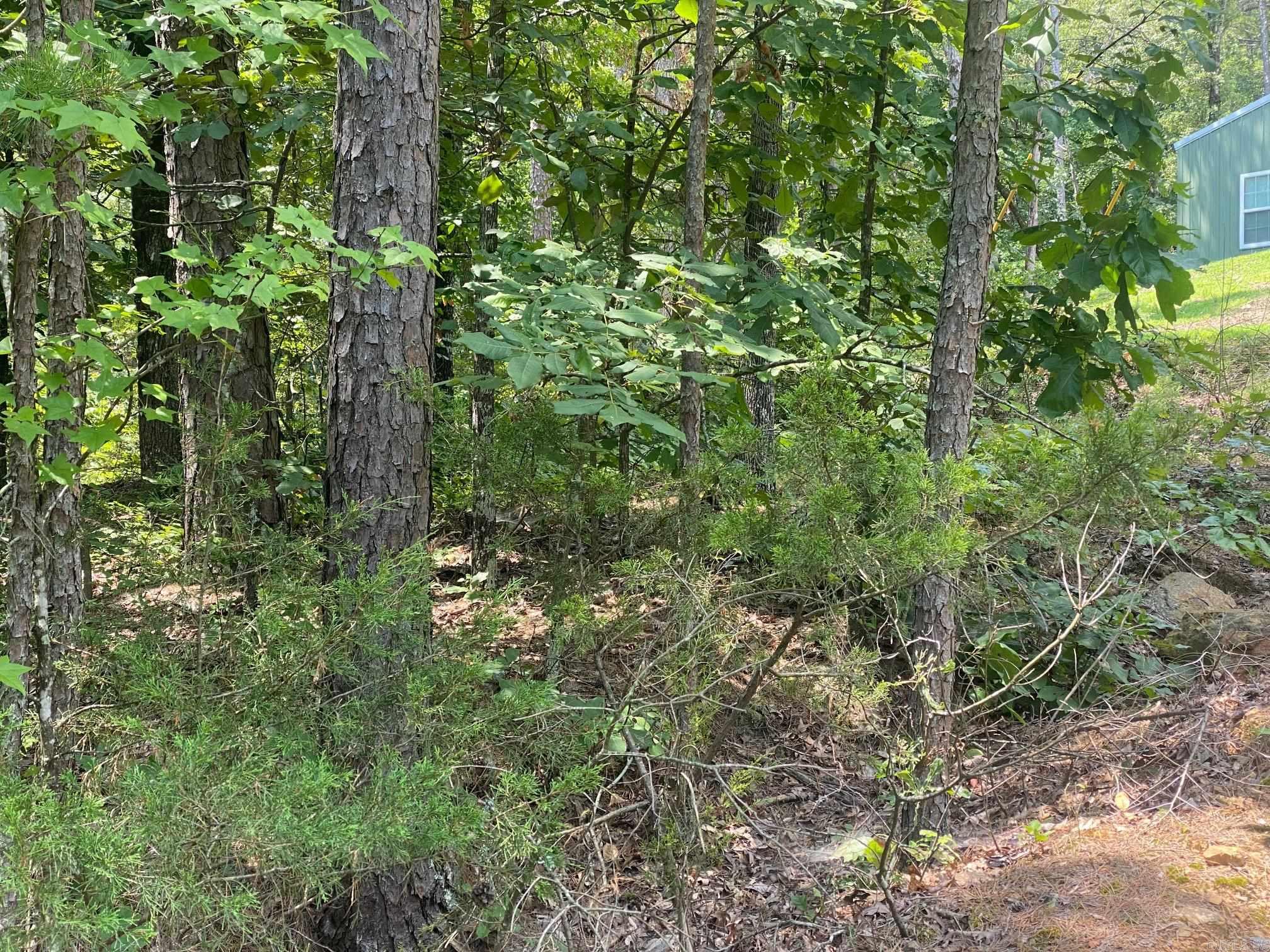 Scenic Place-Cove Creek - Land