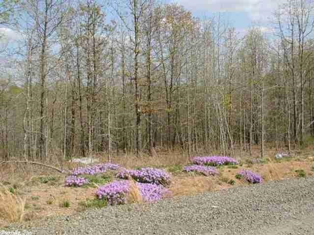 Rocky Branch Estates - Land