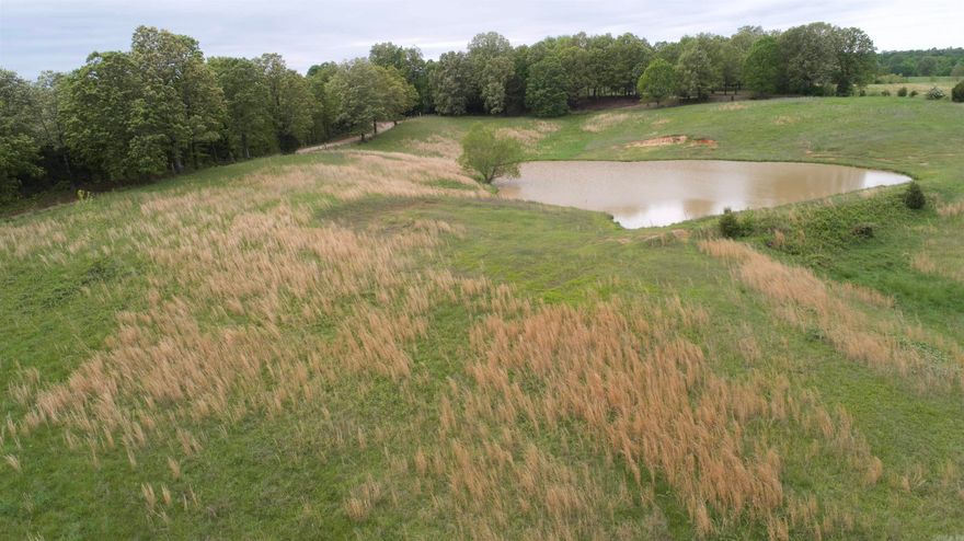 8 acres of rolling hills complete with a POND.  Buried in the Crowley's Ridge you will fall in love with the panoramic views of green hills surrounding you.