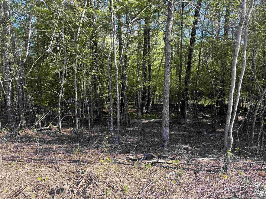 This 3.21 Acre Tract is located in a quiet and wooded part of town, perfect for the benefits of living in town while maintaining privacy. See new survey under mls documents.  INVESTORS/BUILDERS LOOK: Should be plenty of space to build a couple of houses.