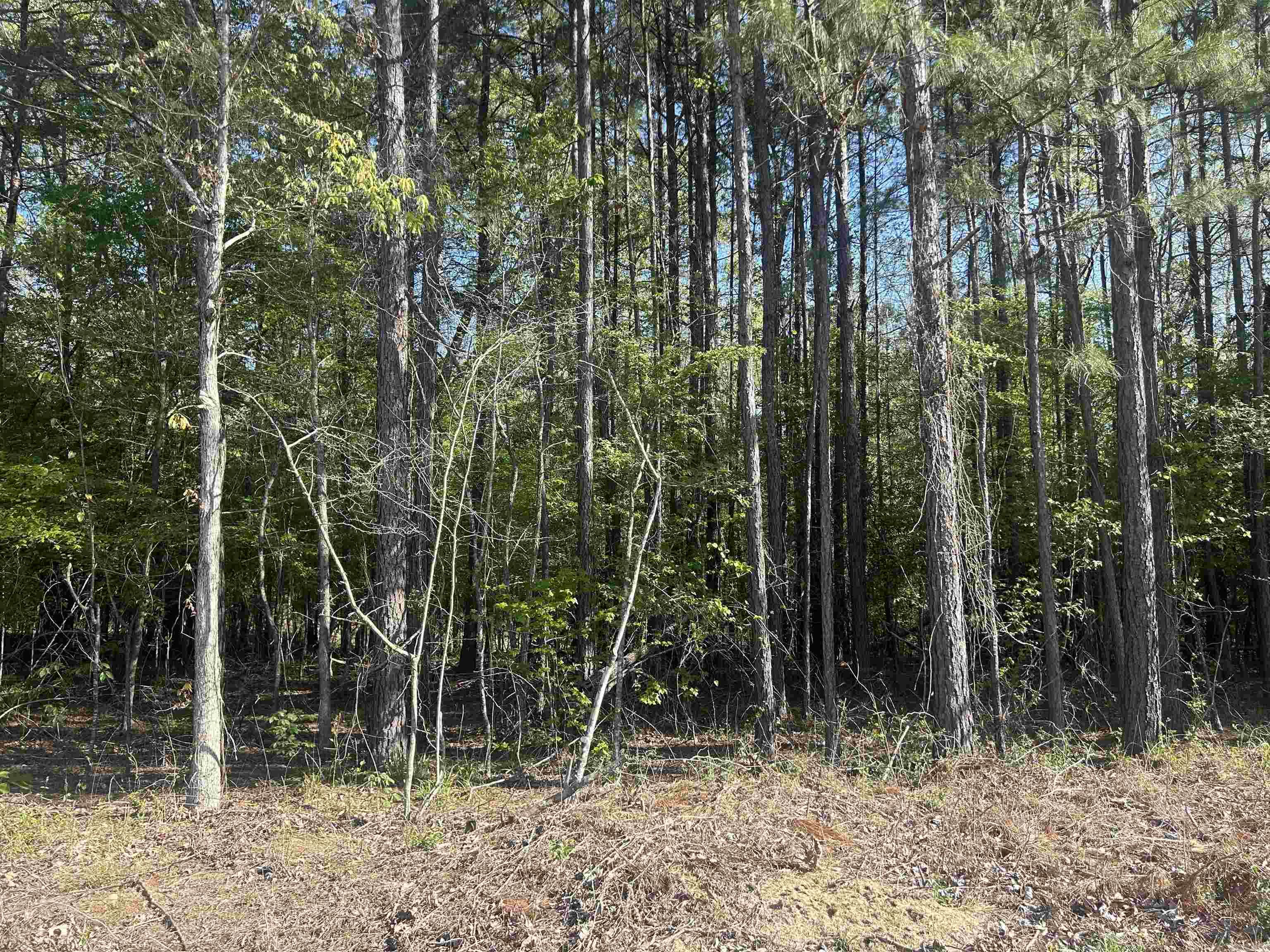 Metes & Bounds - Land