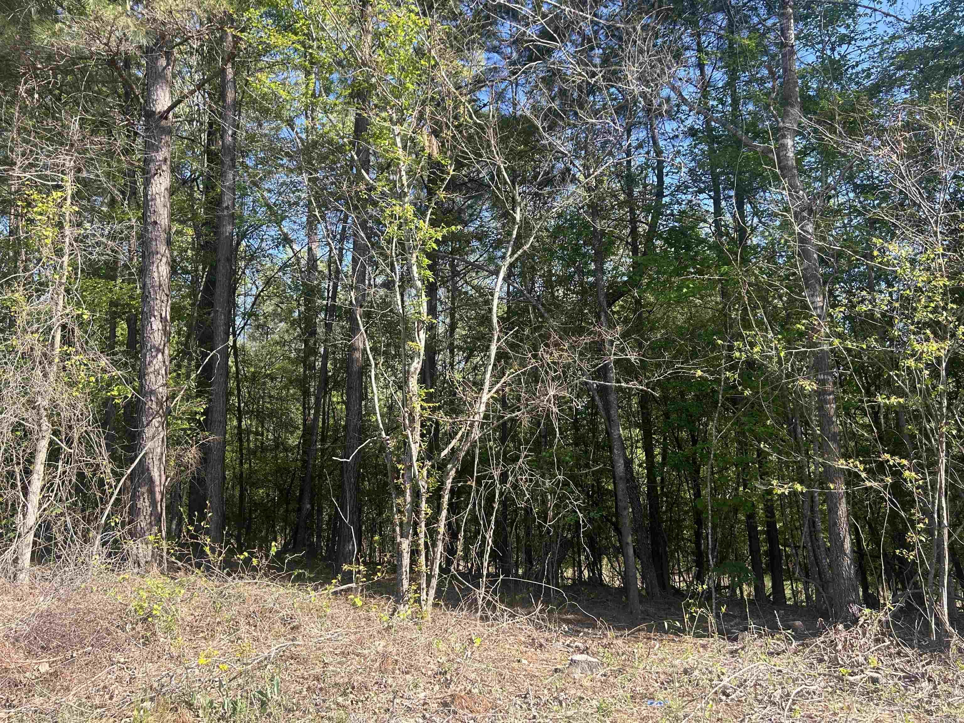 Metes & Bounds - Land