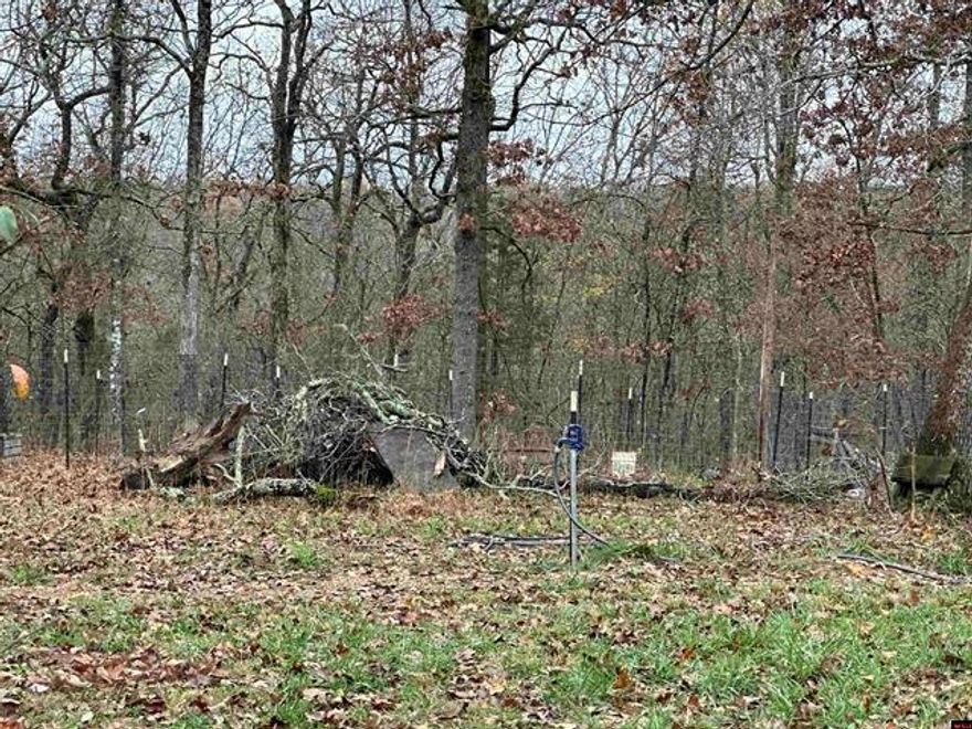 Dreaming of the perfect piece of land to build your future? This 5 AC M/L property in Clarkridge is the answer! Fully prepped and ready to go, it features a brand new well and electric service already in place. All that's left is to install your septic system and you'll be ready to create the homestead you've been envisioning. With its remote location and unbeatable price of $45,000, this property won't last long! whether you're looking to build your dream home, start a small farm or enjoy the peaceful beauty of nature, this is the perfect spot to make that happen