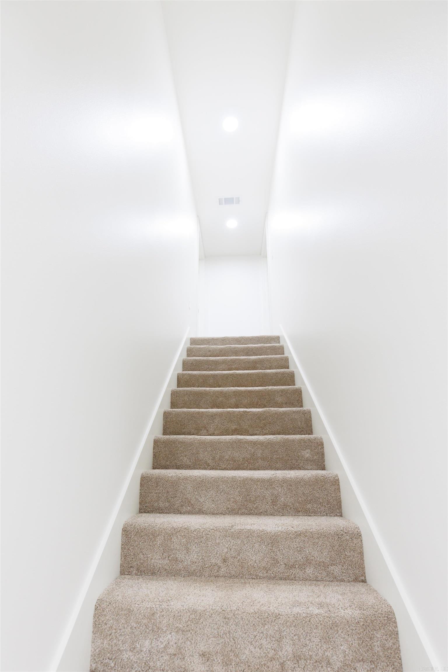 TOMS COVE - Residential