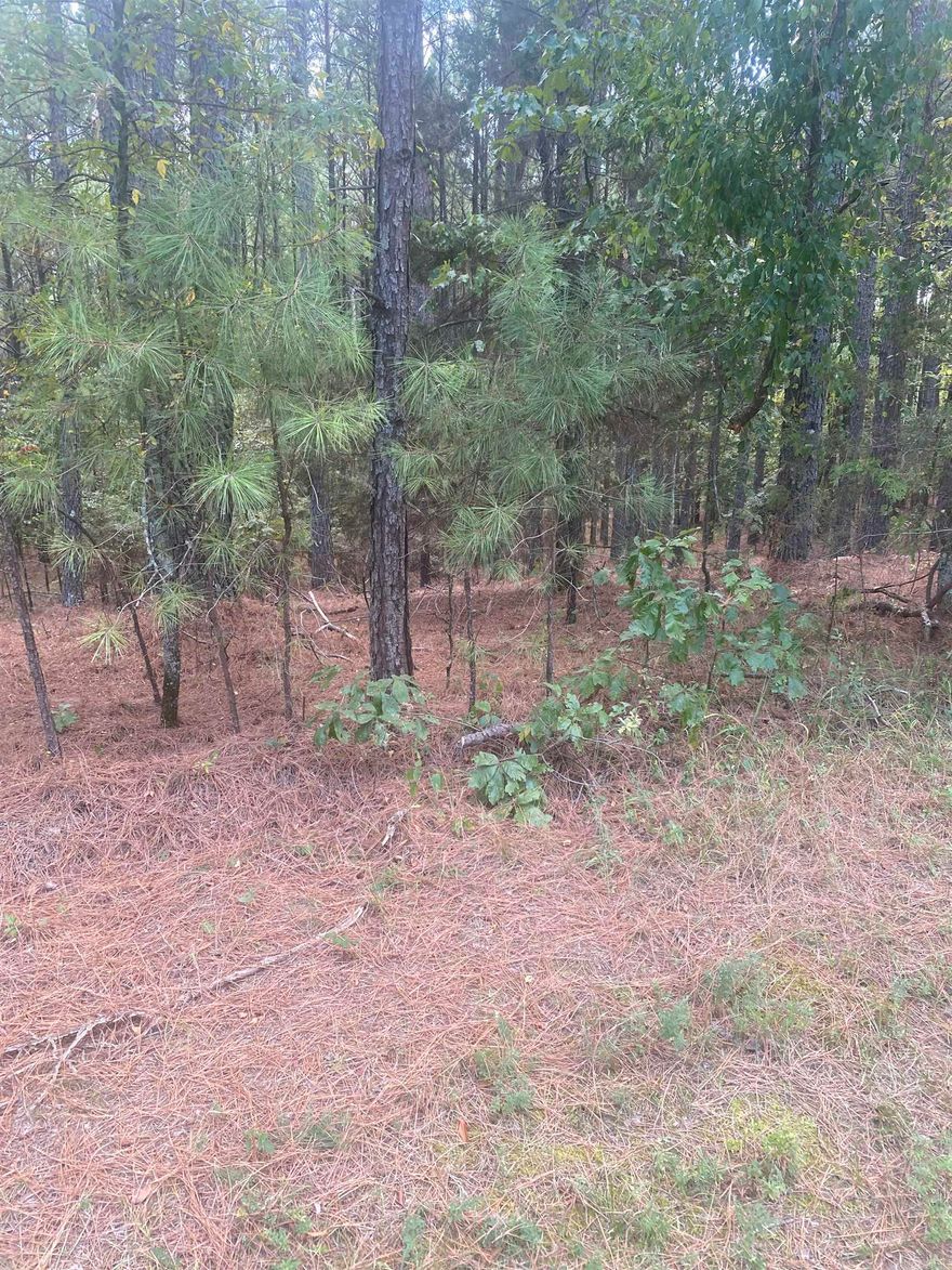 Corner lot in desirable Isabella neighborhood. Over half an acre!   Great location with easy access to multiple golf courses, hiking trails, tennis, pickleball, lakes and more.   Great lot for building the home of your dreams.  Quiet area to enjoy nature at its best.  Live the good life in the largest gated community in the United States.