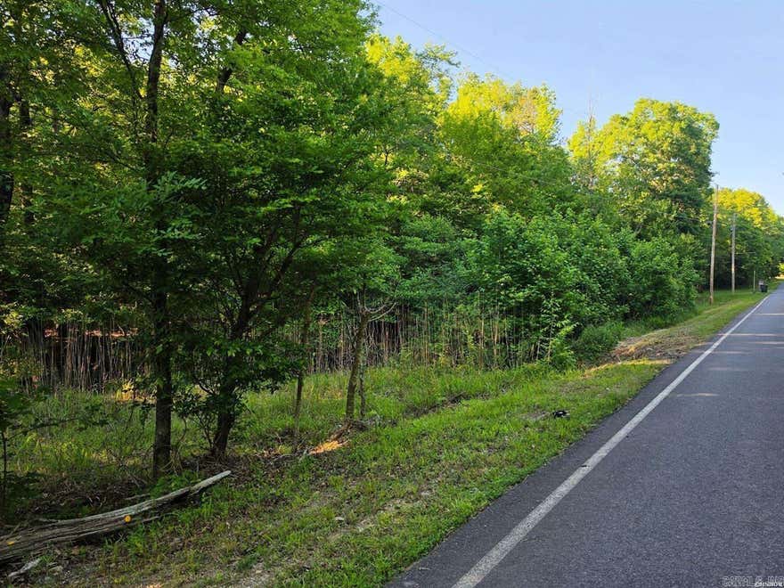 Discover the perfect blend of peaceful country living and convenience with this beautiful 3.67-acre property just 10 minutes from Downtown Hot Springs. Located near the Cutter Morning Star School District, this land offers the privacy and space you’ve been looking for while still being close to shopping, dining, lakes, and entertainment. With electricity available at the street, the property is ready for your dream home, cabin, or getaway retreat. Enjoy the beauty of the countryside without sacrificing accessibility in one of the area’s most desirable locations.