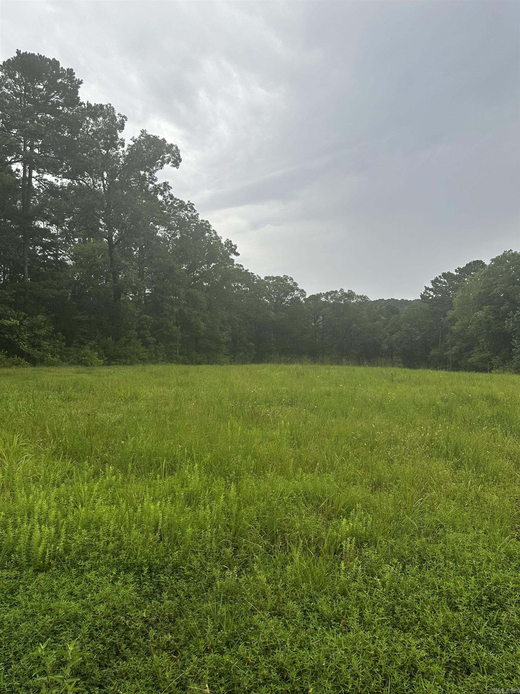 Great Neighborhood to build your dream home at the lake. Undergrounds utilities already in place! Waterfront pictures taken below the white line. Mineral rights do not convey.